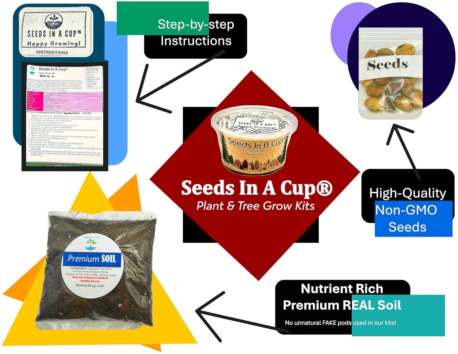 Seeds in a Cup Tree Starter Kit with Premium Soil
