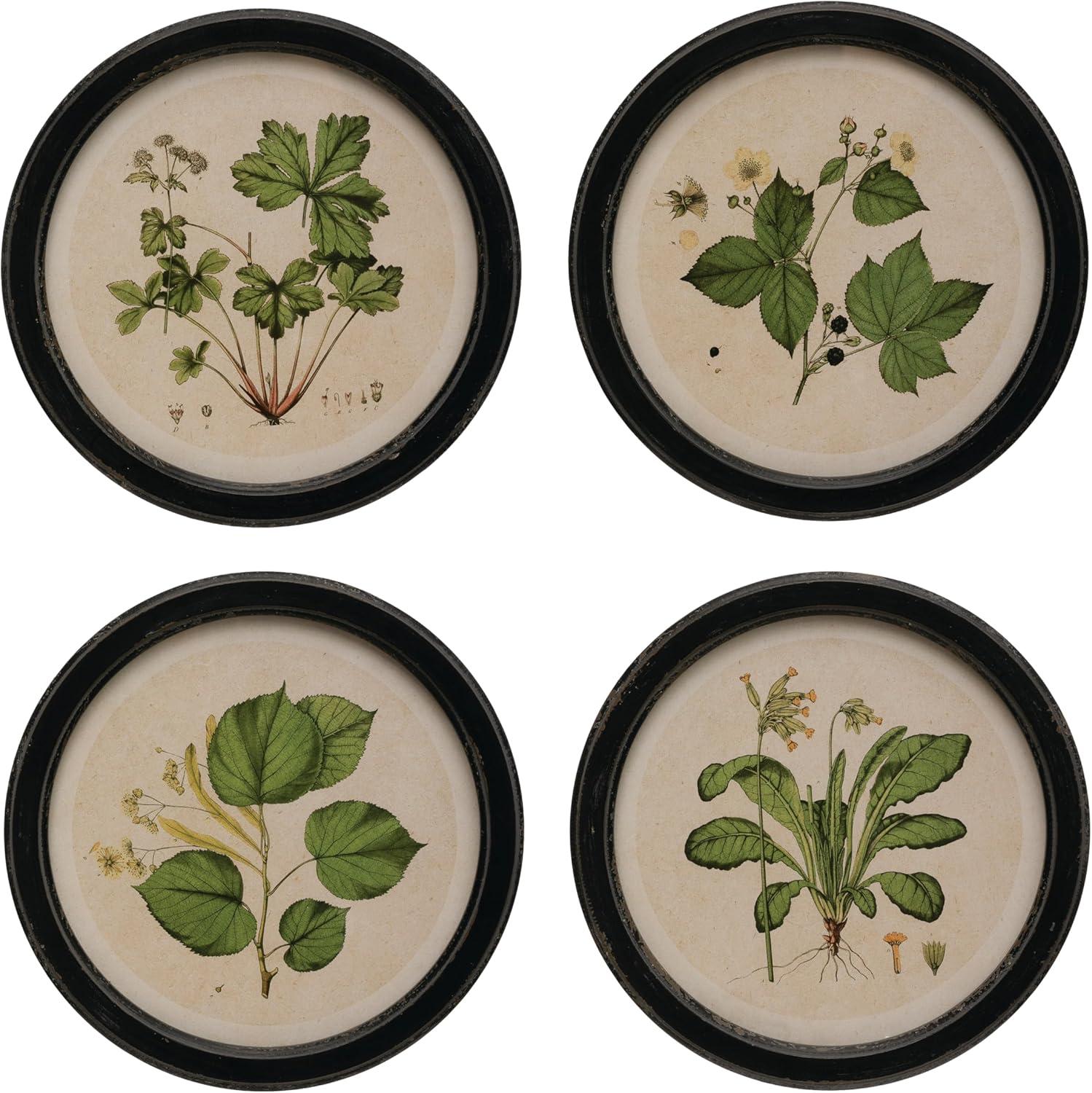 (Set of 4) 13.75" Wood Framed Wall Art Sets with Vintage Reproduction Botanical Print - Storied Home: Elegant Home Decor