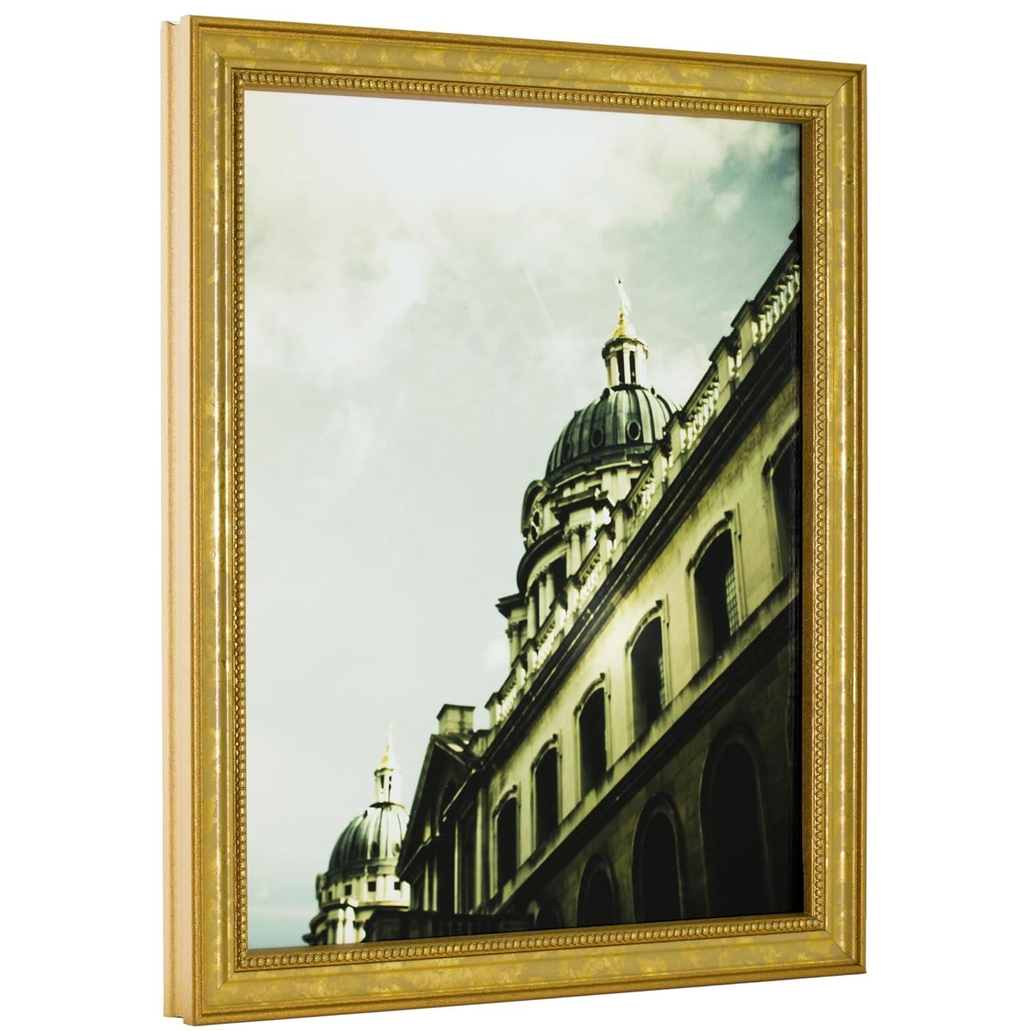 Craig Frames 16x24 Ornate Gold Picture Frame