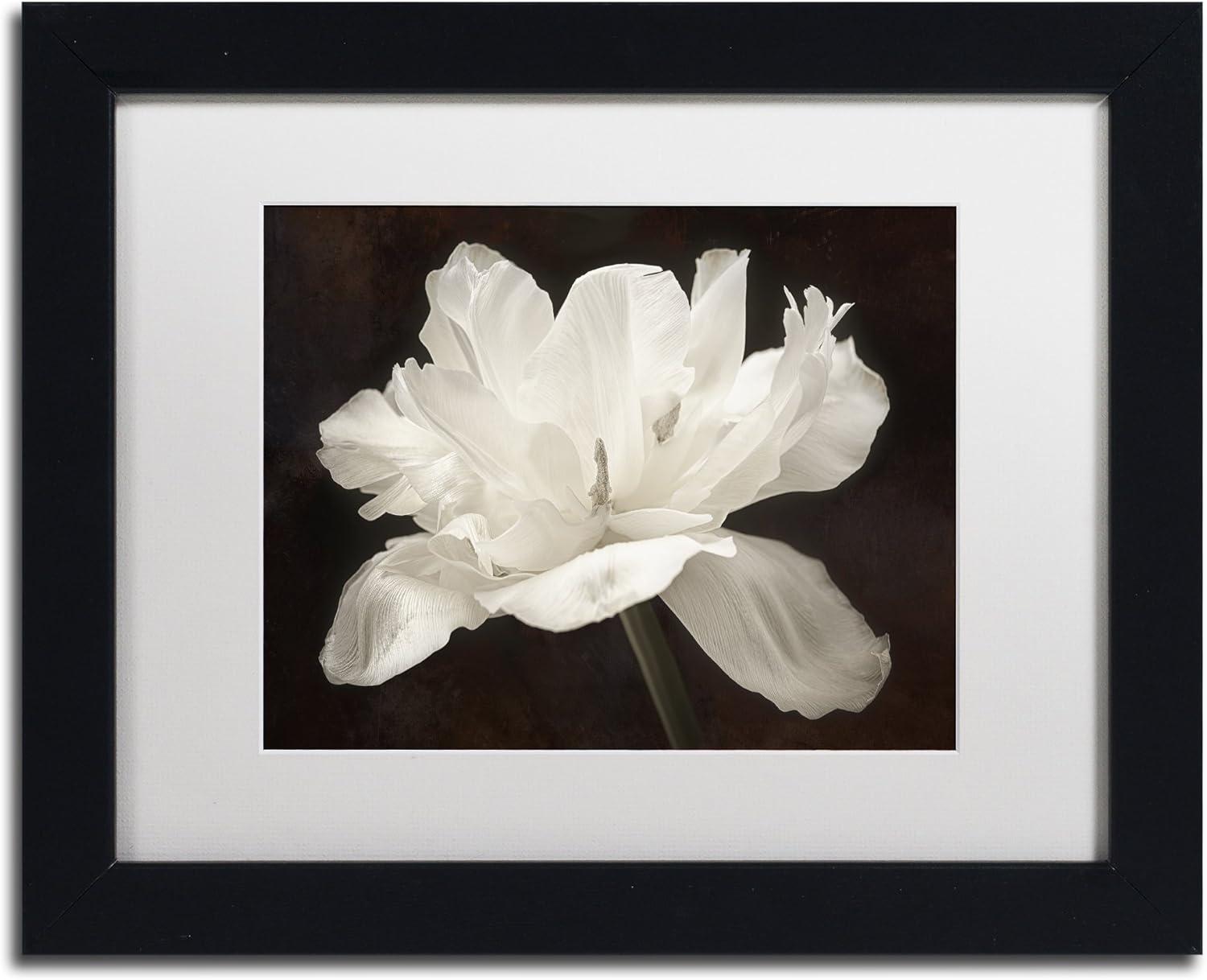 White Tulip Floral Print in Black Acrylic Frame