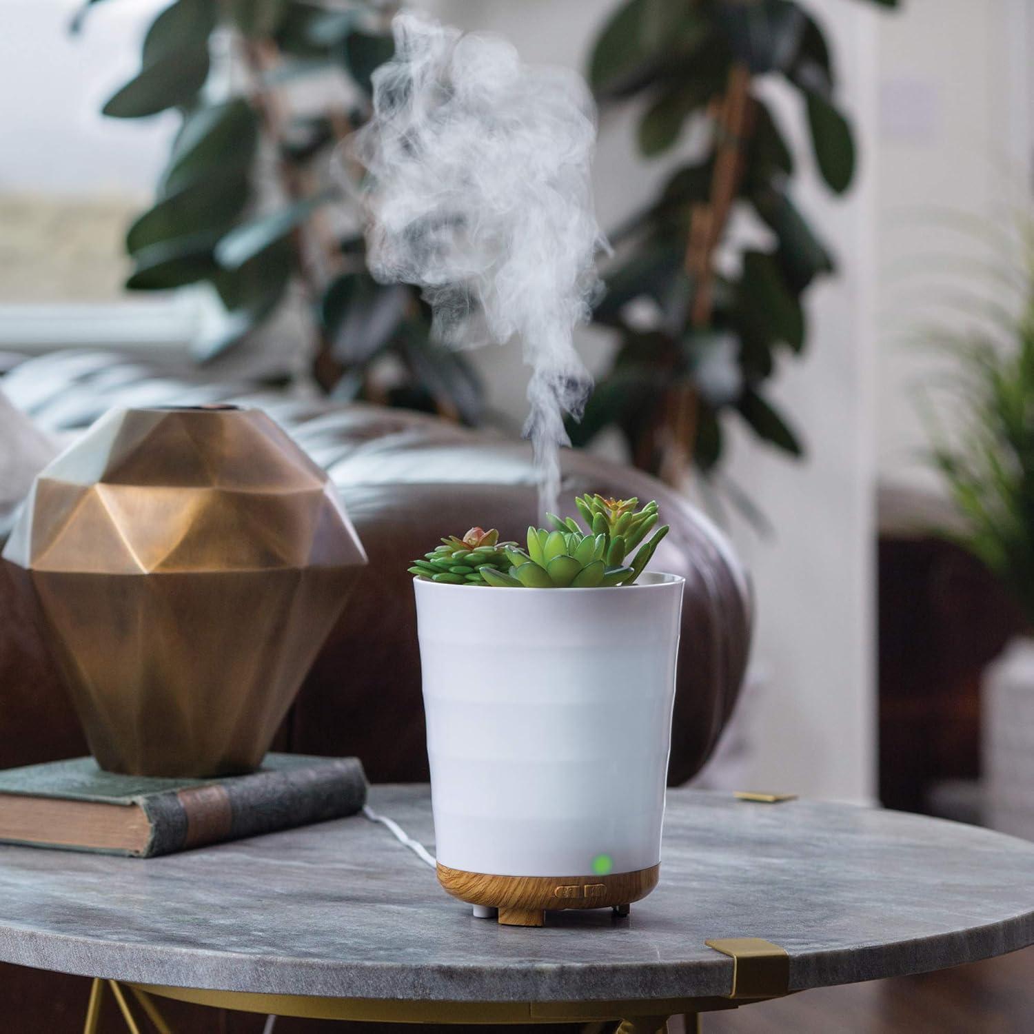 White Ceramic Succulent Essential Oil Diffuser with Bamboo Base