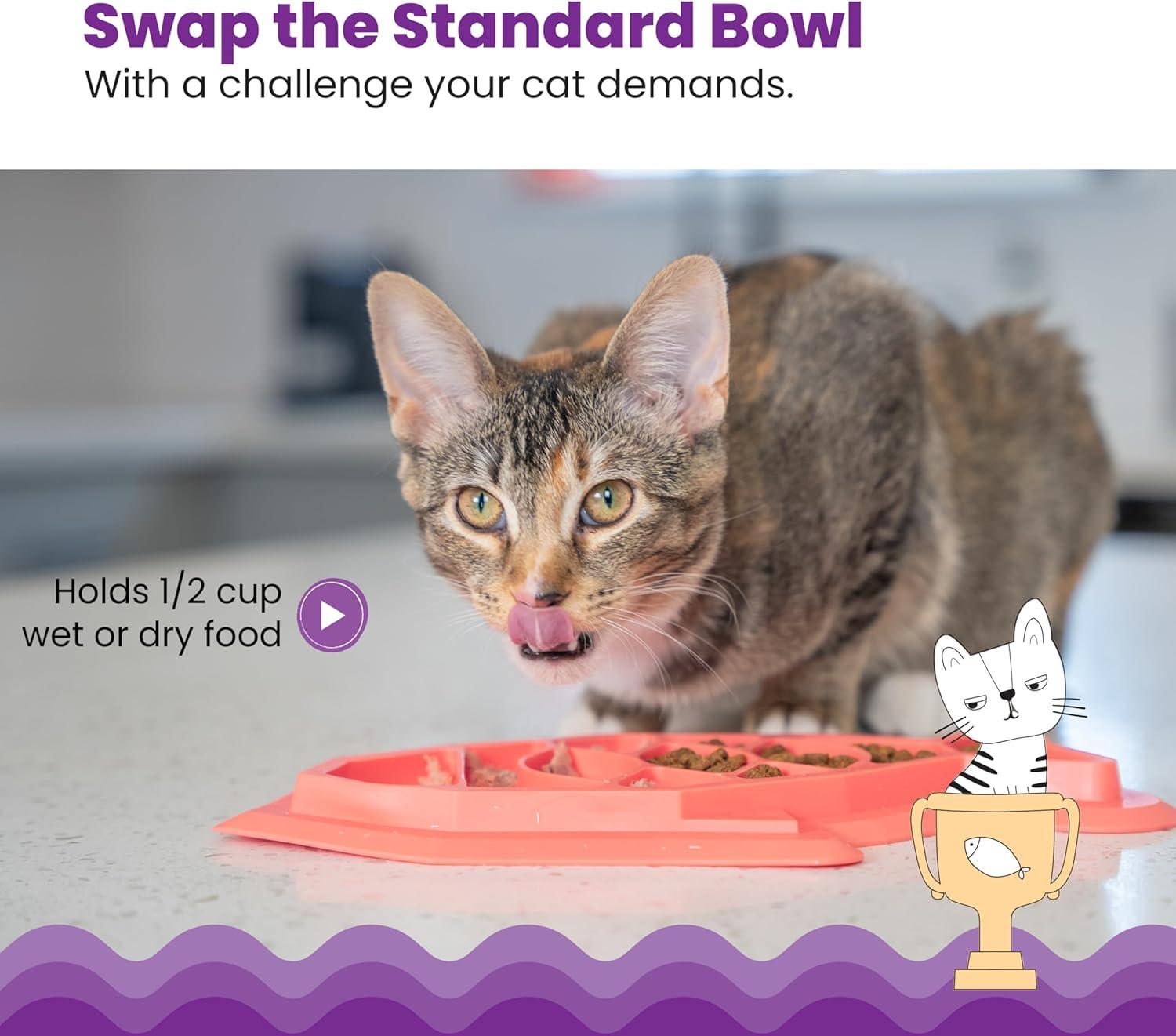 Petstages Fishie Fun Feed Mat Slow Feeder Cat Bowl