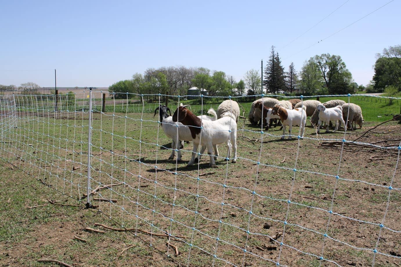 Starkline 35" x 164' Blue Electric Fence Netting with Stainless Steel Conductors