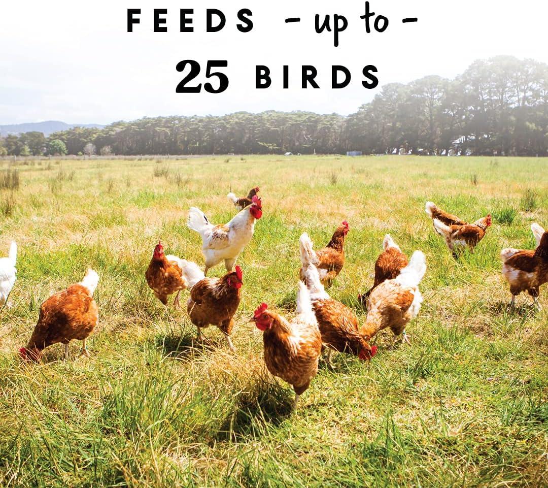 Harris Farms Free Range Hanging Poultry Feeder, Twist Lock Base, 10 lbs