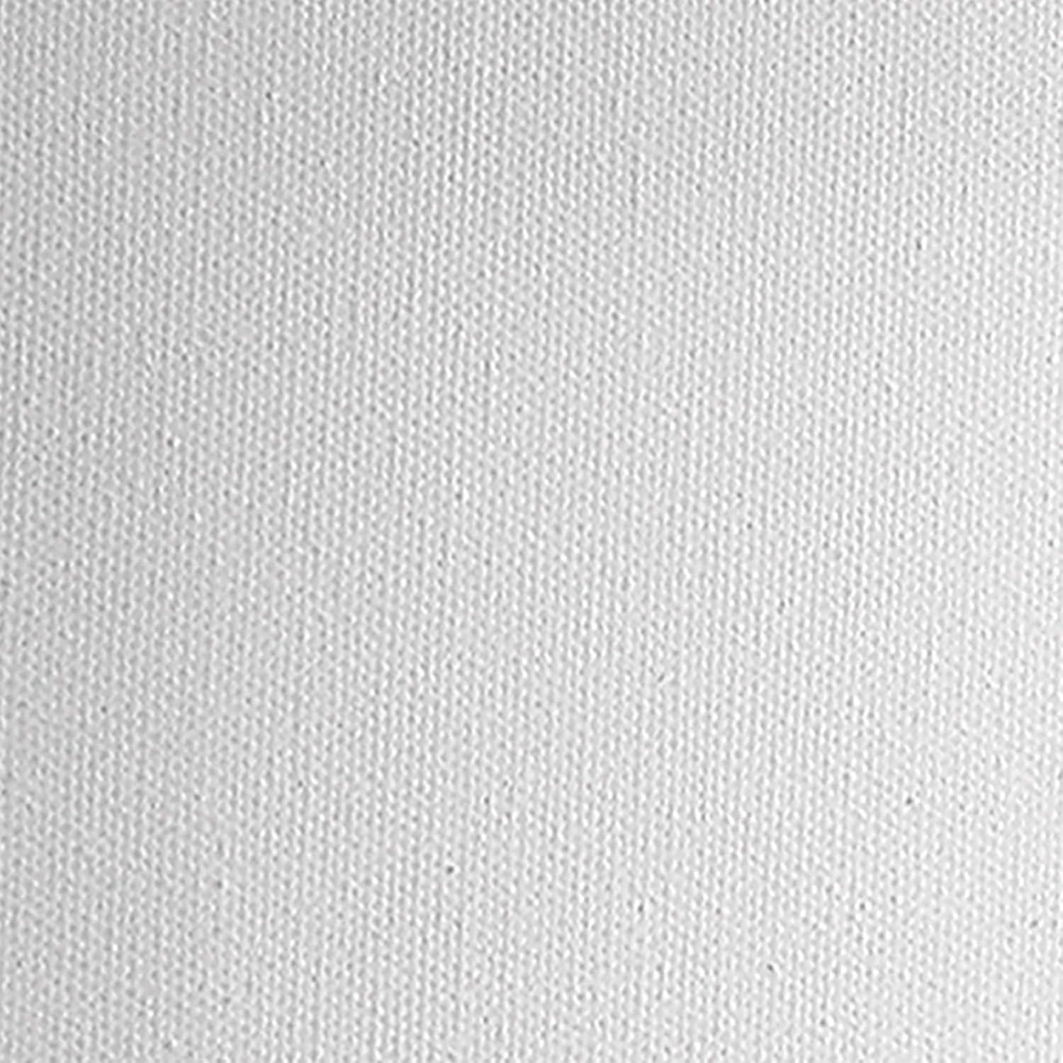 Practica Economy Stretched Cotton Canvas 2 Packs - Acid-Free Acrylic Primed Canvas for Acrylics, Pastels, Graphite, & More!