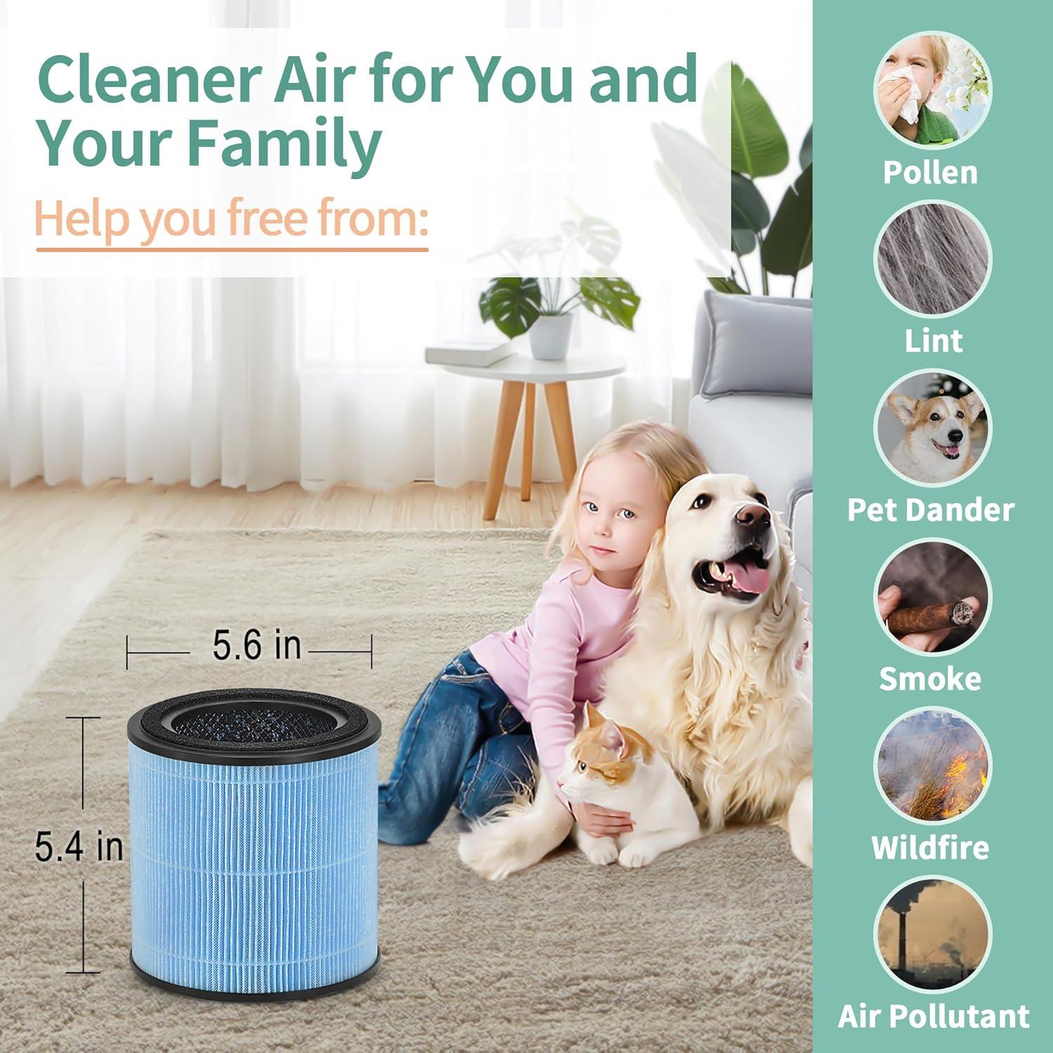 Nispira AP0601 2-in-1 True HEPA Filter Replacement for AirTok Air Purifier AP0601-RF | Remove Particle Size down to 0.1 microns | 2 Packs