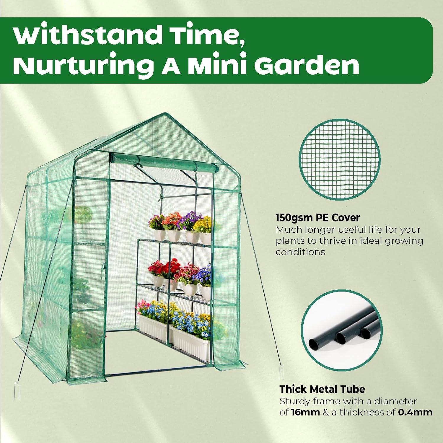 Green Walk-In Greenhouse with PE Cover and Steel Frame