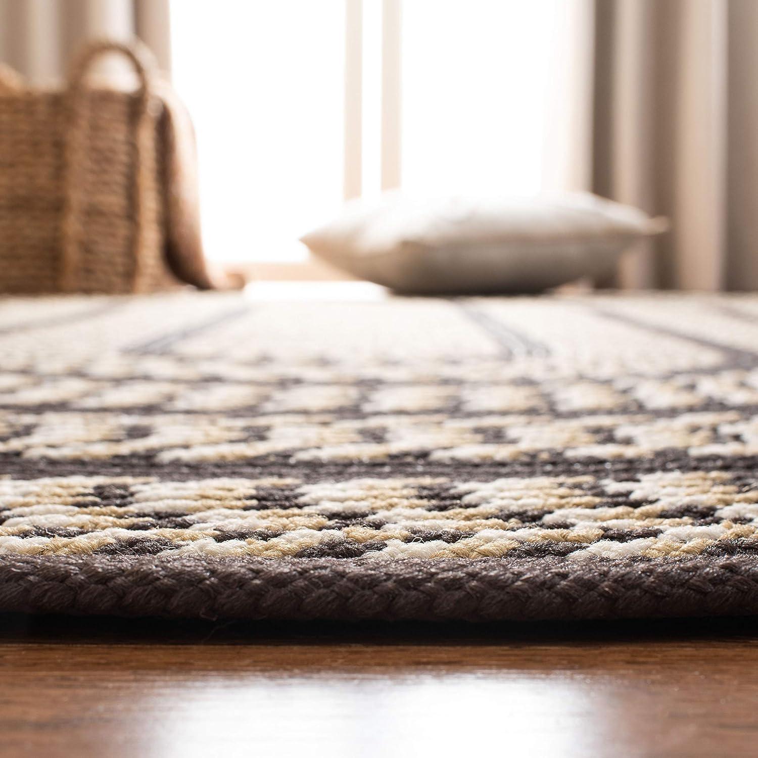 SAFAVIEH Braided Tanisha Color Bordered Area Rug, Ivory/Dark Brown, 6' x 6' Round