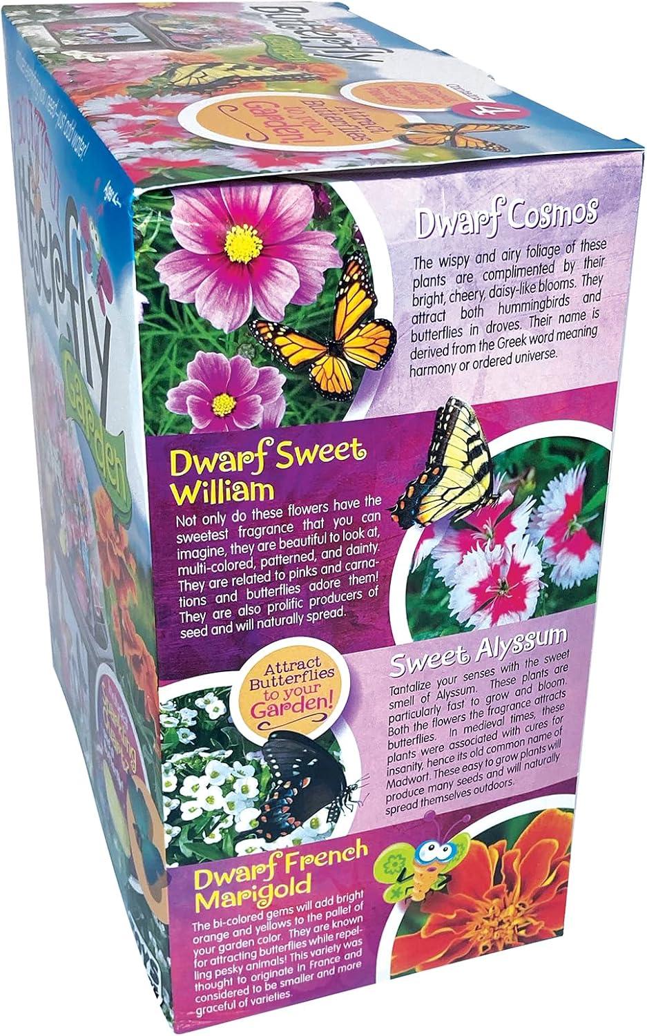 Toys By Nature: Butterfly Garden - DIY Terrarium Kit, Create Habitat