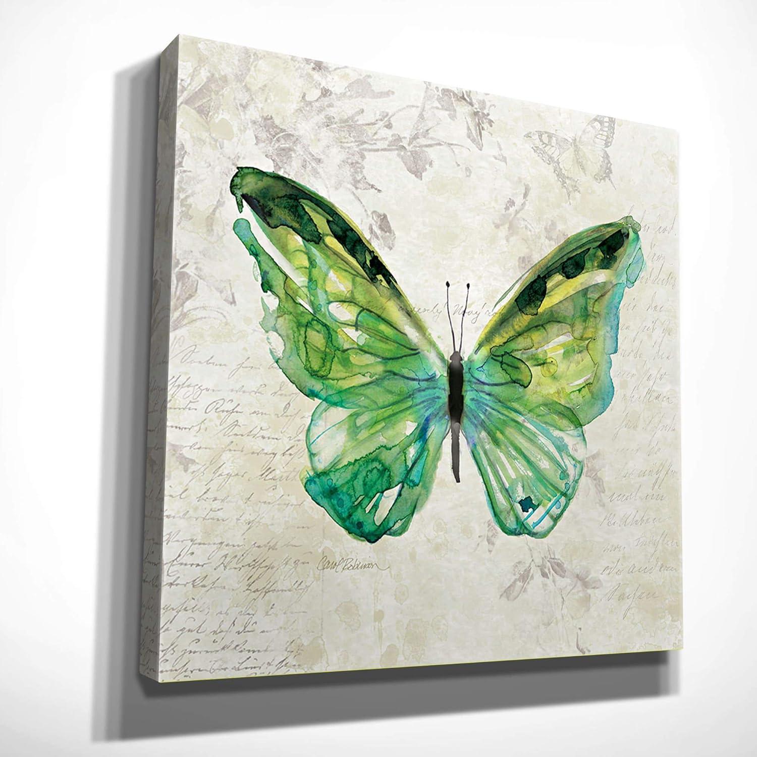 Green Butterfly Sketch Canvas Wall Art, 16x16