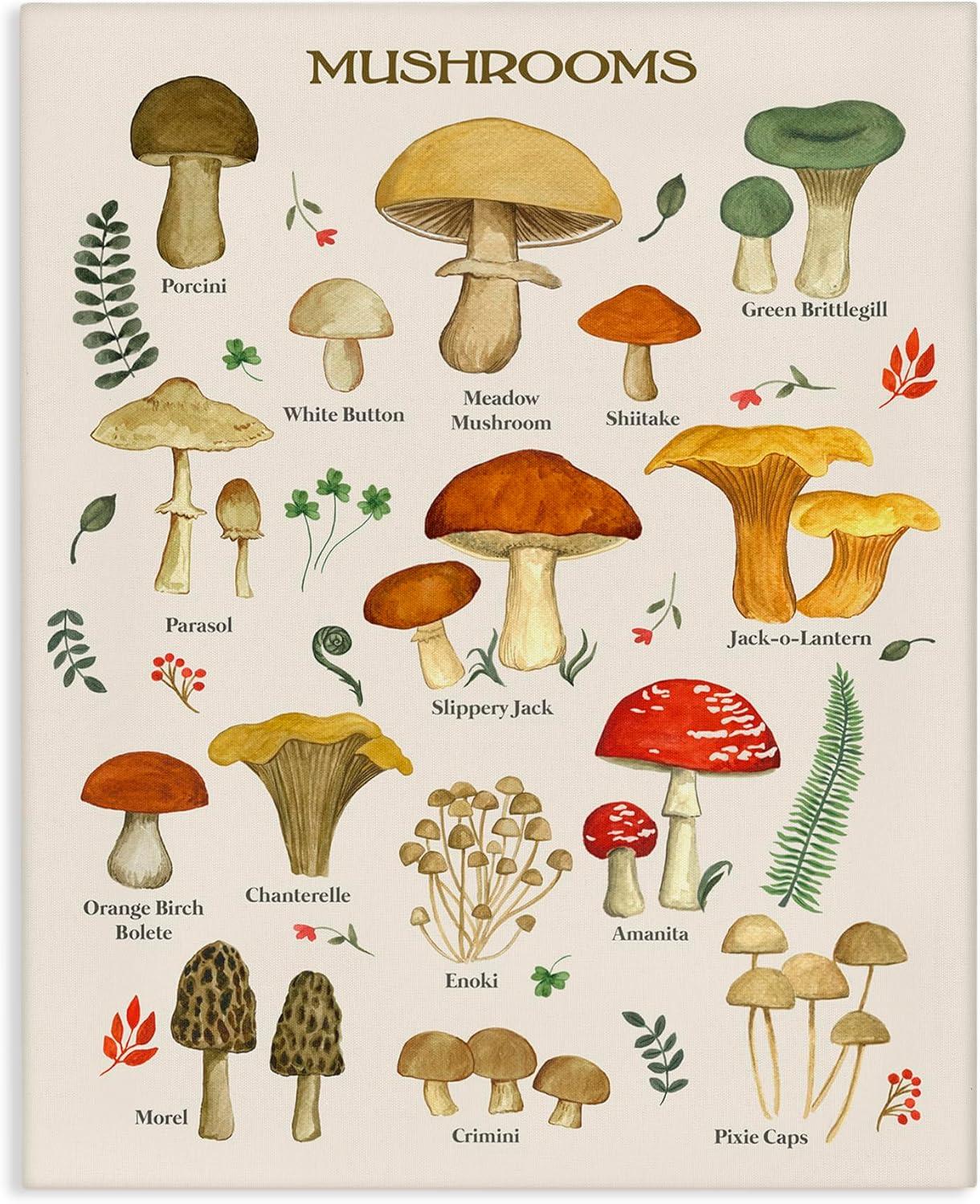 Stupell Industries Foraging Mushrooms Studies Botanical & Floral Painting Gallery Wrapped Canvas Print Wall Art, 16 x 20