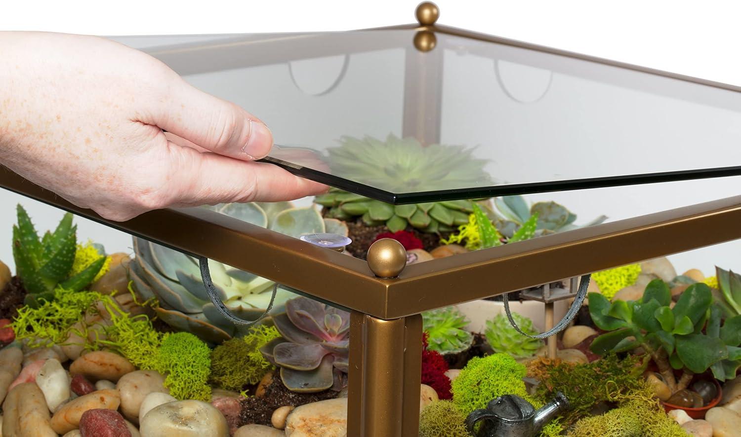 Gold Iron Square Terrarium End Table with Reinforced Glass, 18x18x27