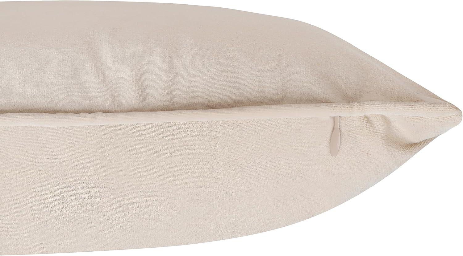 A1 Home Collections LLC Velvet Pillow Cover (Set of 2)
