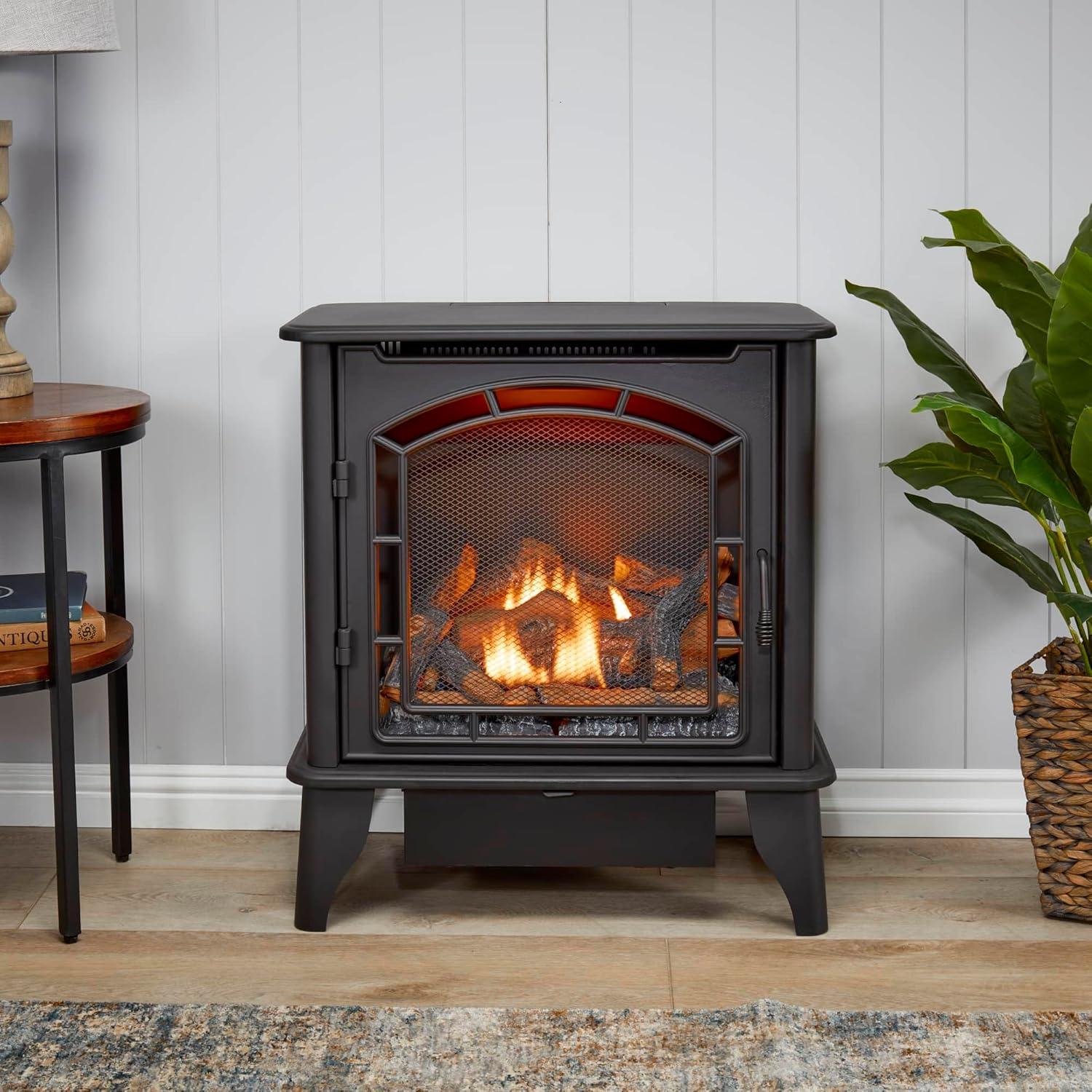 Bluegrass Living Bluegrass Living Panorama Vent Free Dual Fuel 3-Sided Gas Stove - 23,000 BTU, Remote Control, Black Finish - Model# BTSD23RT