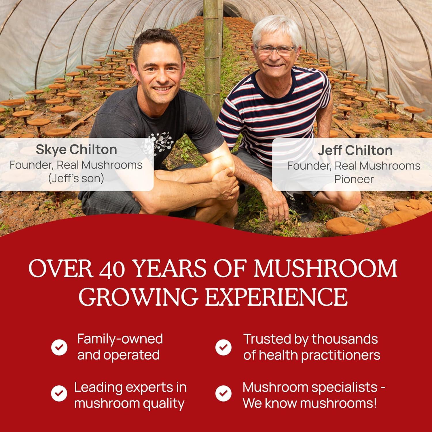 Real Mushrooms RealClarity, Mushrooms + Herbs, 60 Capsules