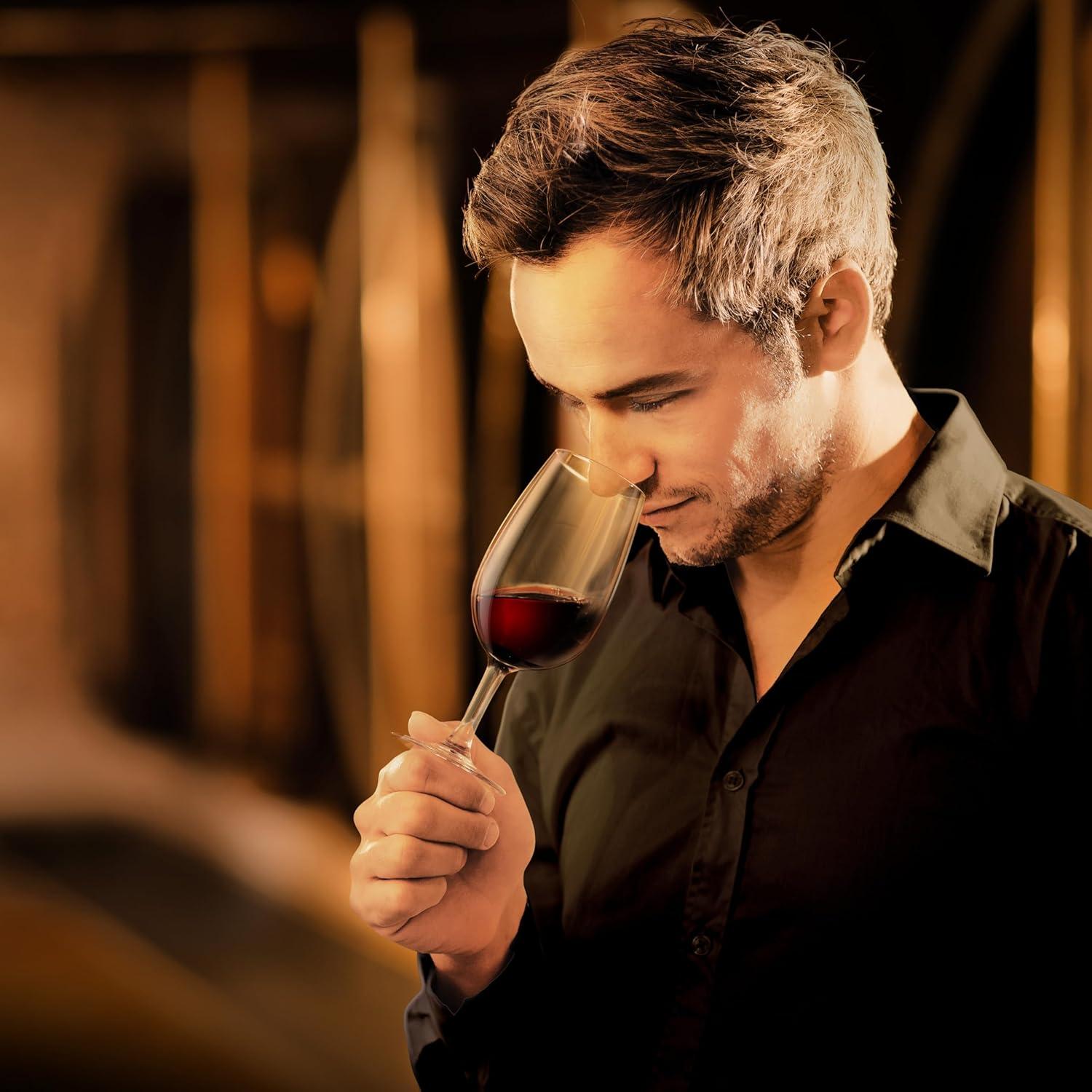 Final Touch ISO INAO Wine Tasting Glasses Set of 6 - Lead-Free Crystal for Red, White, Sparkling, Rosé - 7¼ oz Capacity - Ideal for Wine Tastings and Events (WGT406)