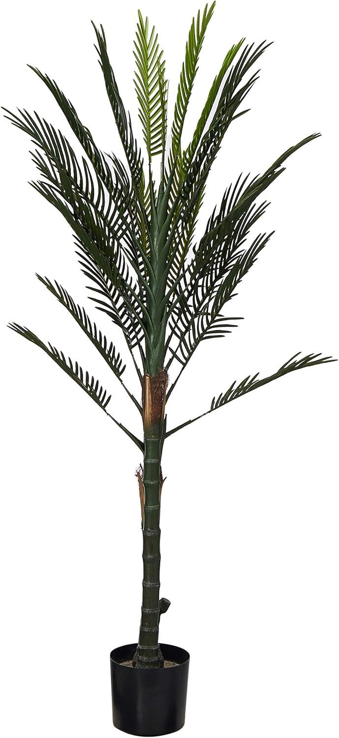 5.5ft Green Silk Double Robellini Palm Tree