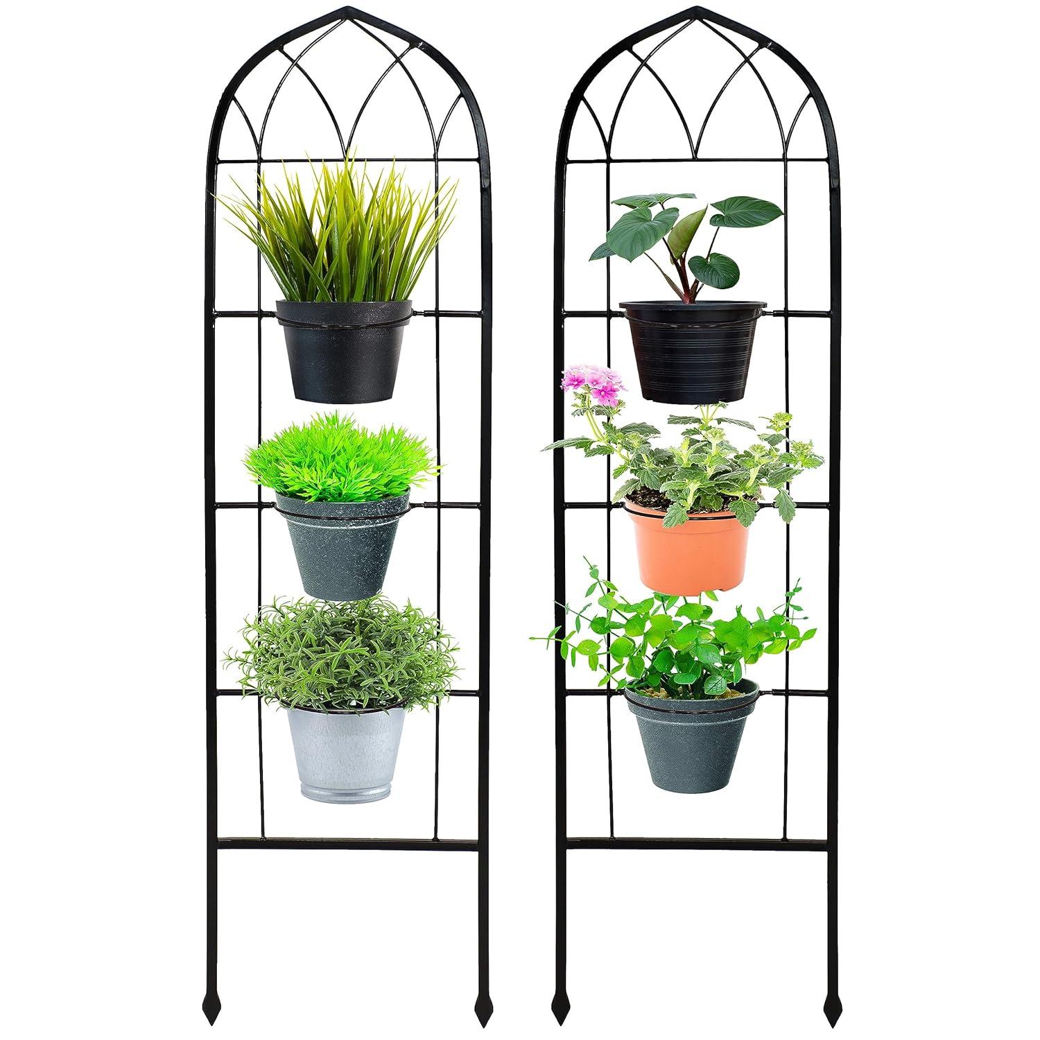 Winston Porter Avonlee Black Steel Arched Garden Trellis for Climbing Plants (Set of 2)