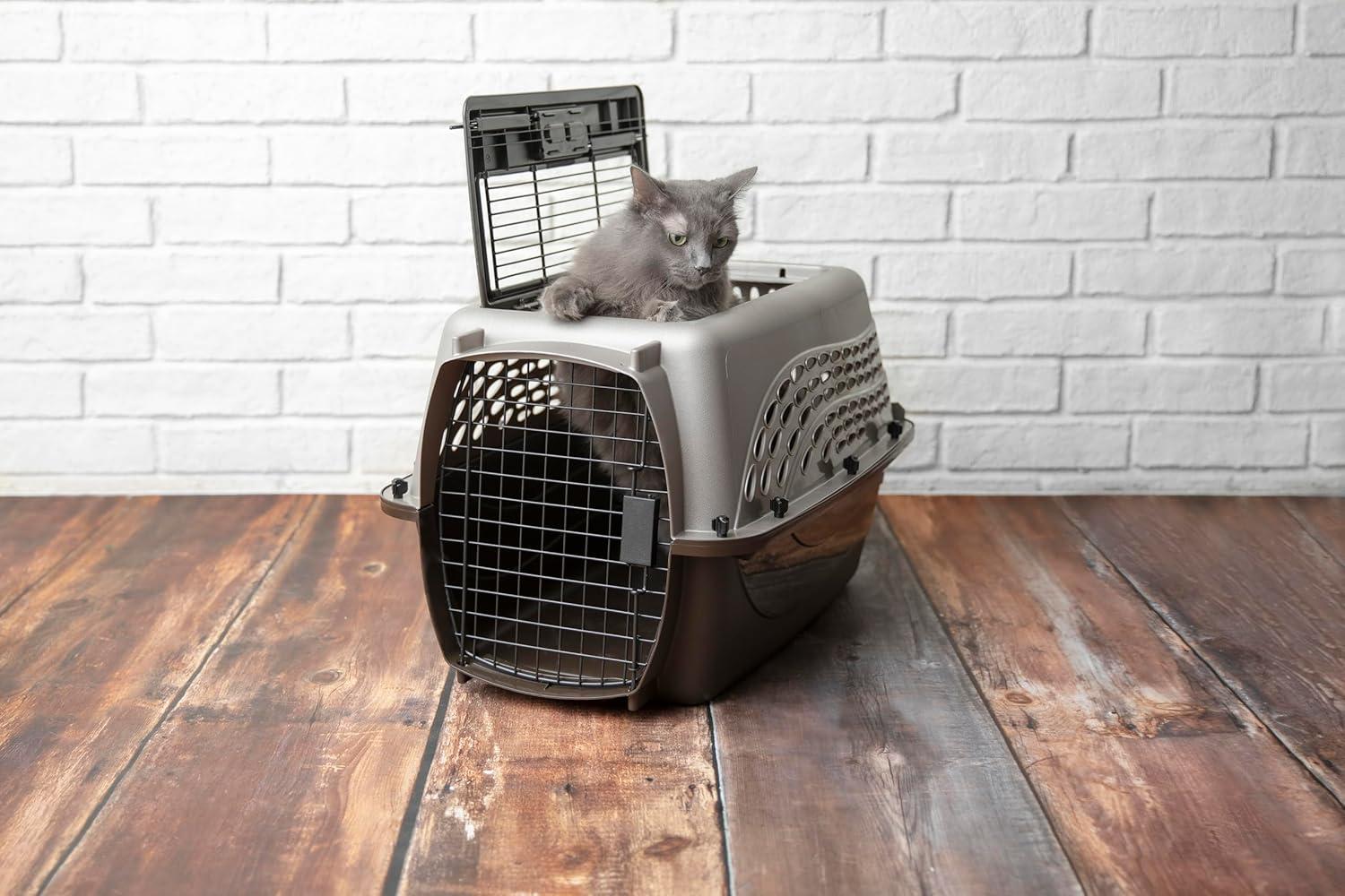 Petmate Plastic Pet Carrier with 1 Door