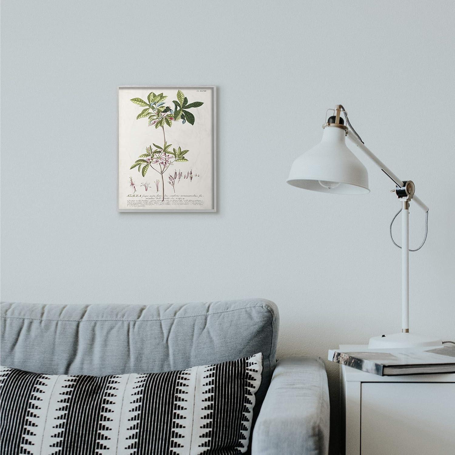 Stupell Industries Botanical Plant Illustration Pink Flowers Vintage Design Framed Wall Art by Unknown