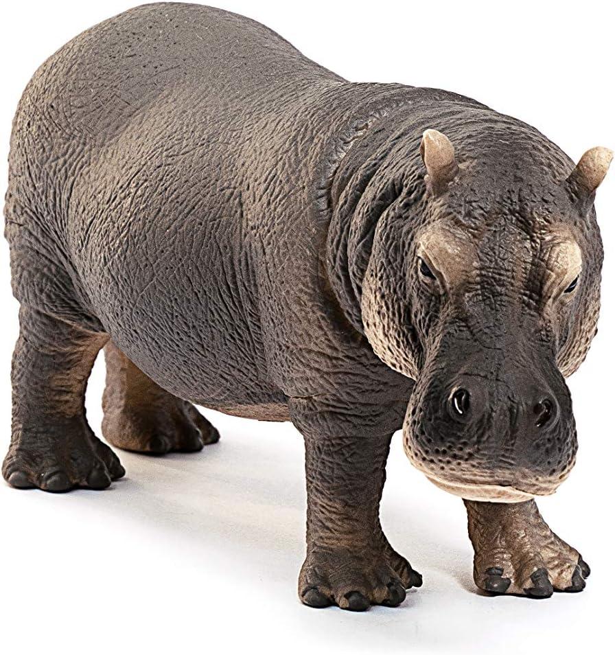 Schleich - Wild Life: Hippopotamus Animal Toy Figurine Educational Playset, 1 pc