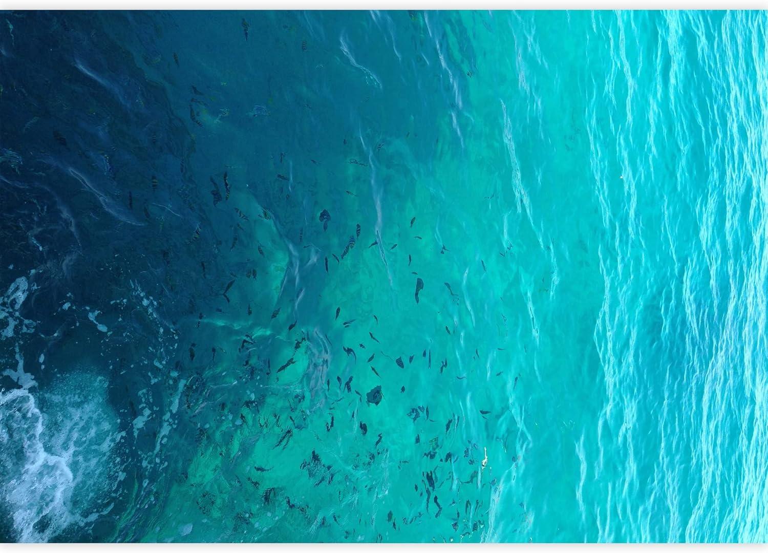 wall26 - Clear Water Ocean - Removable Wall Mural | Self-Adhesive Large Wallpaper - 66x96 inches