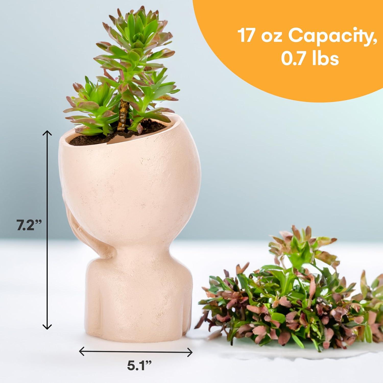 Beige Resin Face Planter Pot for Indoor Plants