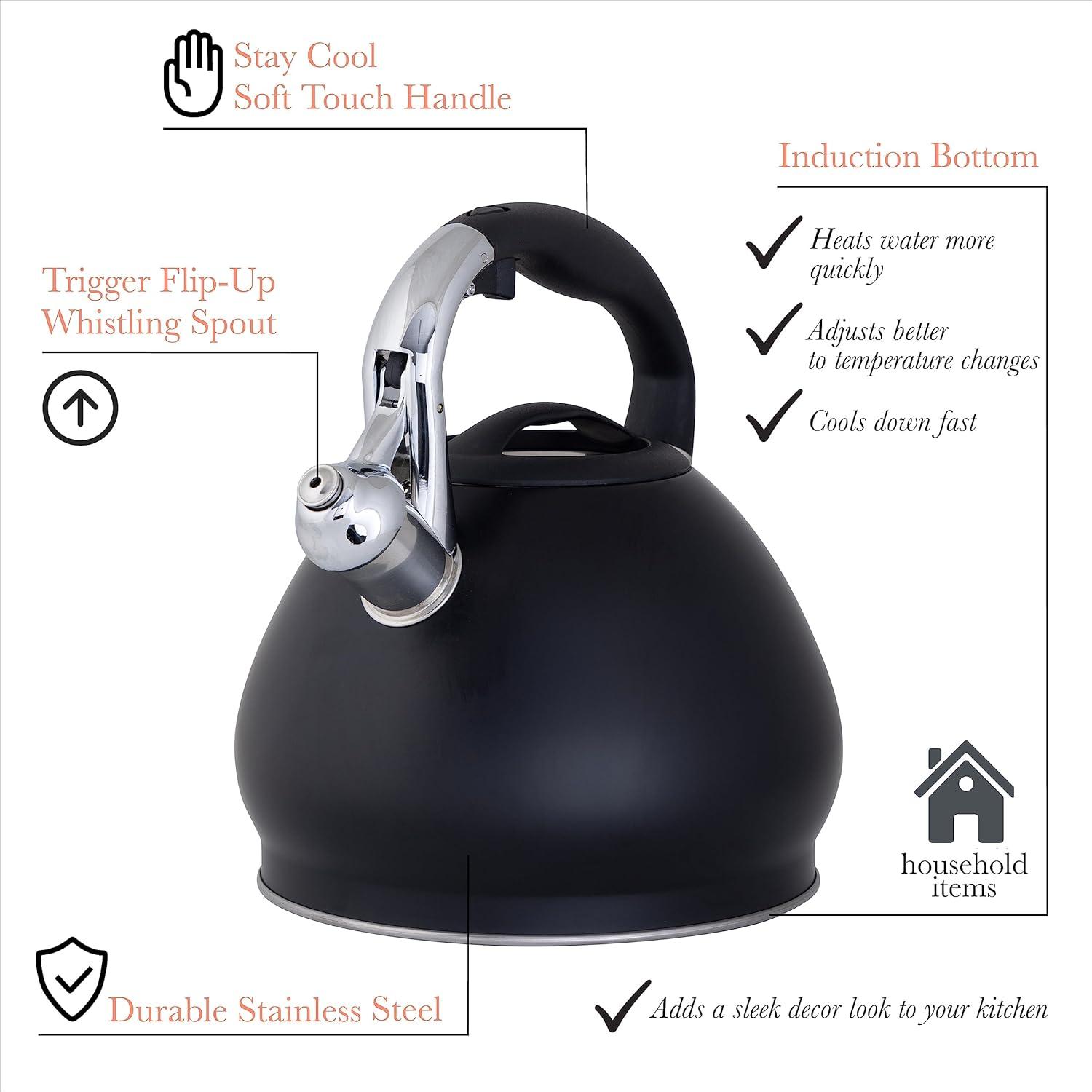 Depot Esh 10 Cup Stainless Steel Tea Kettle in Black