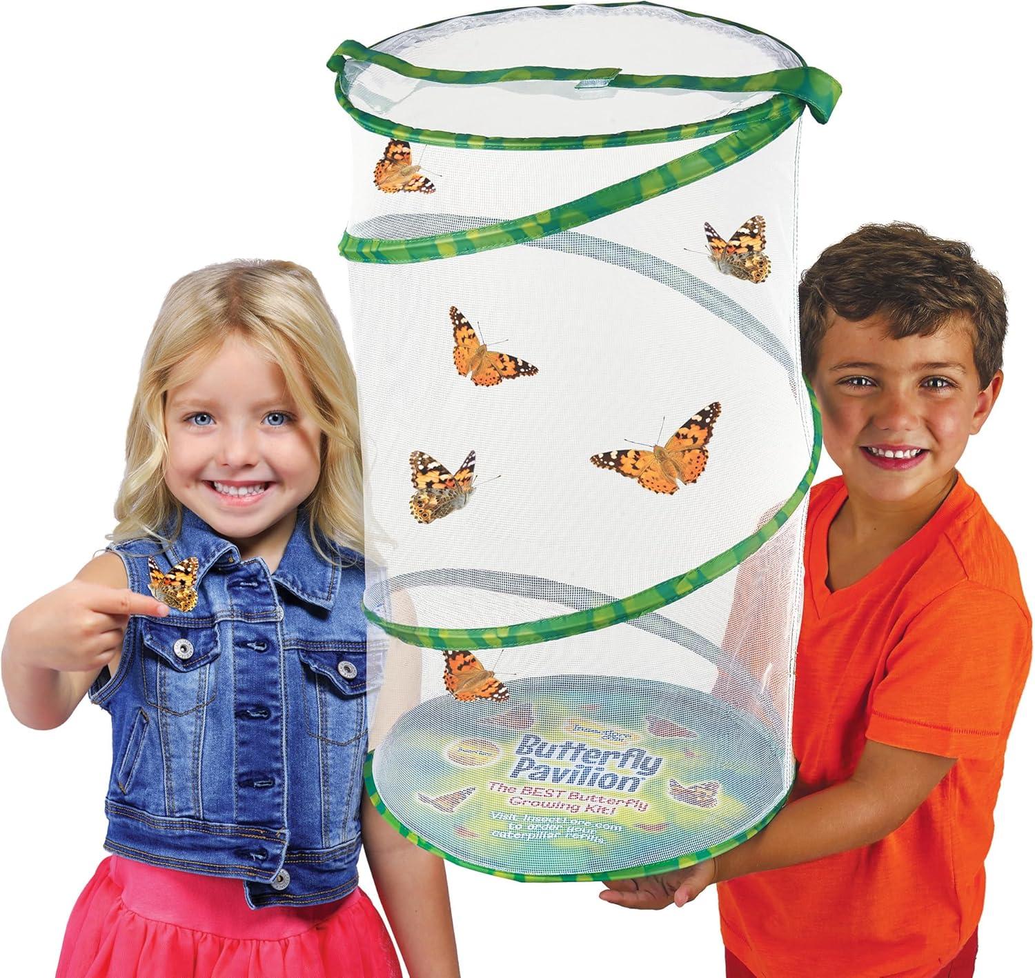 Insect Lore Giant Butterfly Garden® Deluxe Growing Kit - Stem Butterfly Kit w/ Live Caterpillars