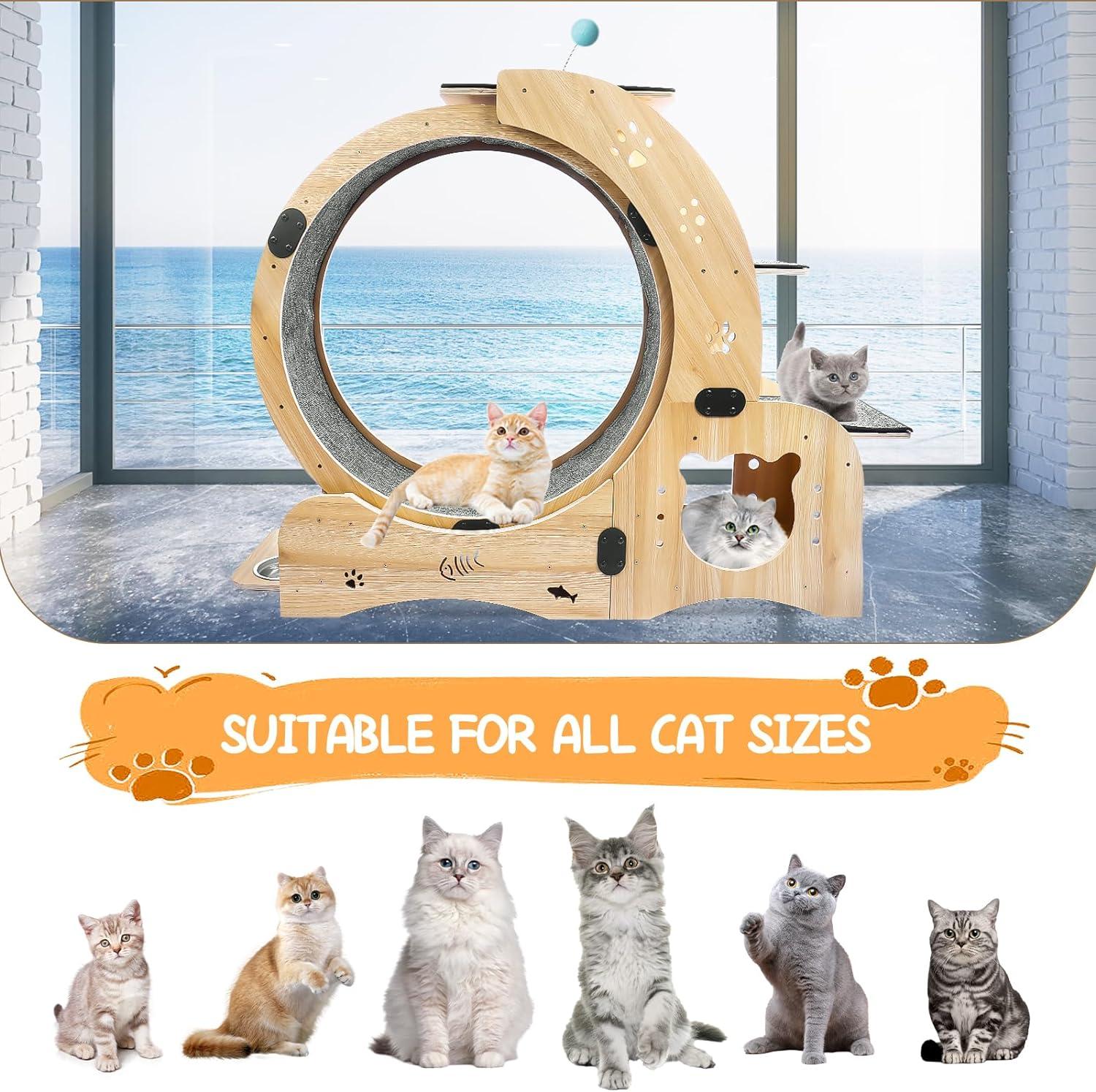 CuisinSmart Cat Running Wheel Nature Wood Kitty Large Wooden Running Wheel Pet Toy Cats Loss Weight Device Cat Rotating Wheel 4 in 1 Ultra Quiet Large Cat Wheel Exercise Treadmill