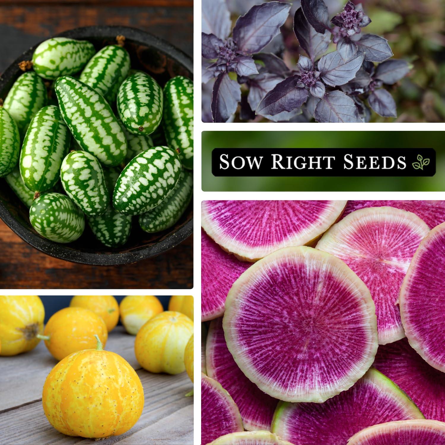 Exotic Vegetable Garden Seed Collection - Non GMO Varieties - 10 Count