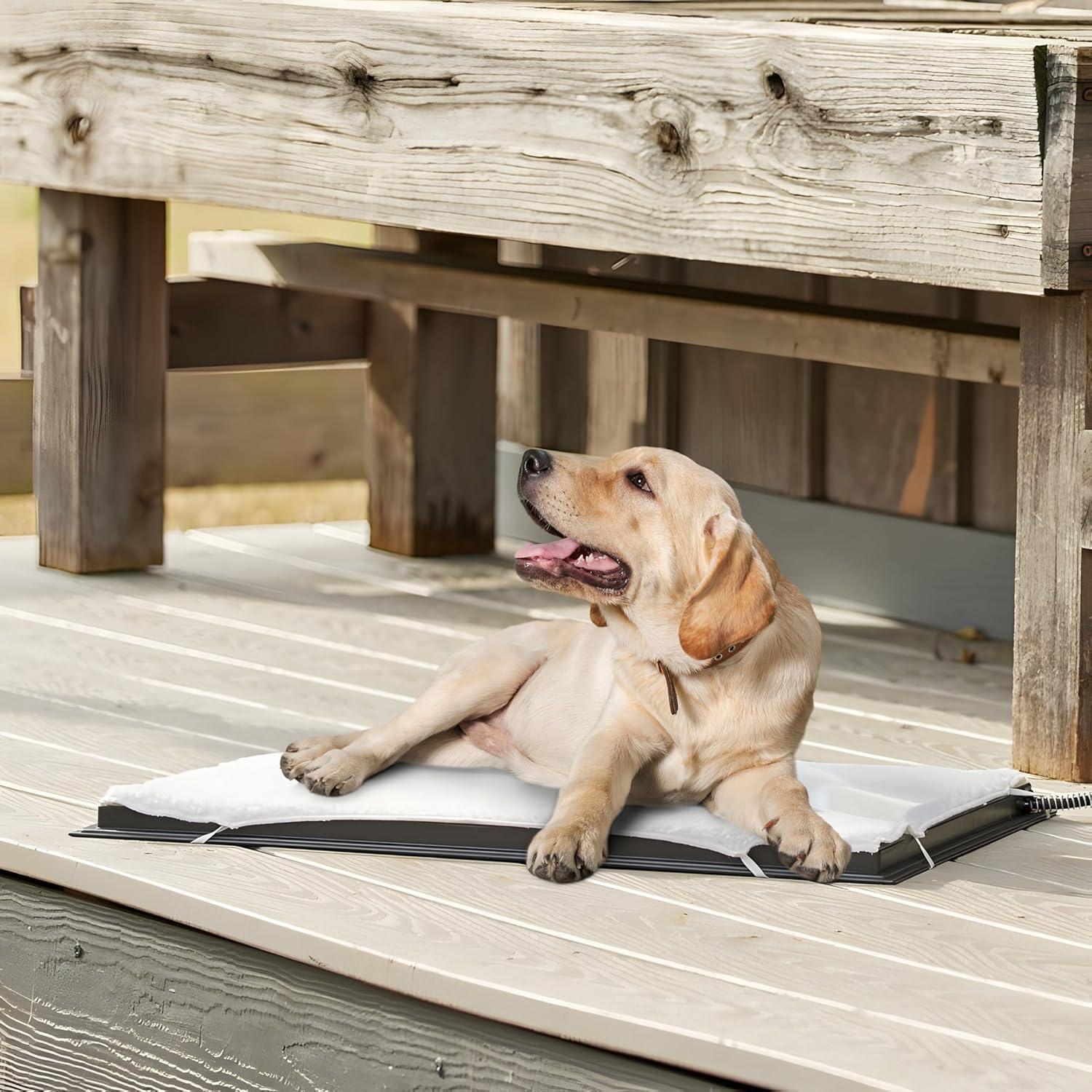 Farm Innovators HM-100L 24 x 29 In Plastic Heated Pet Mat with Fleece Cover and Heavy Duty Anti Chew Cord Protector for Dogs, Cats, and More, 100W