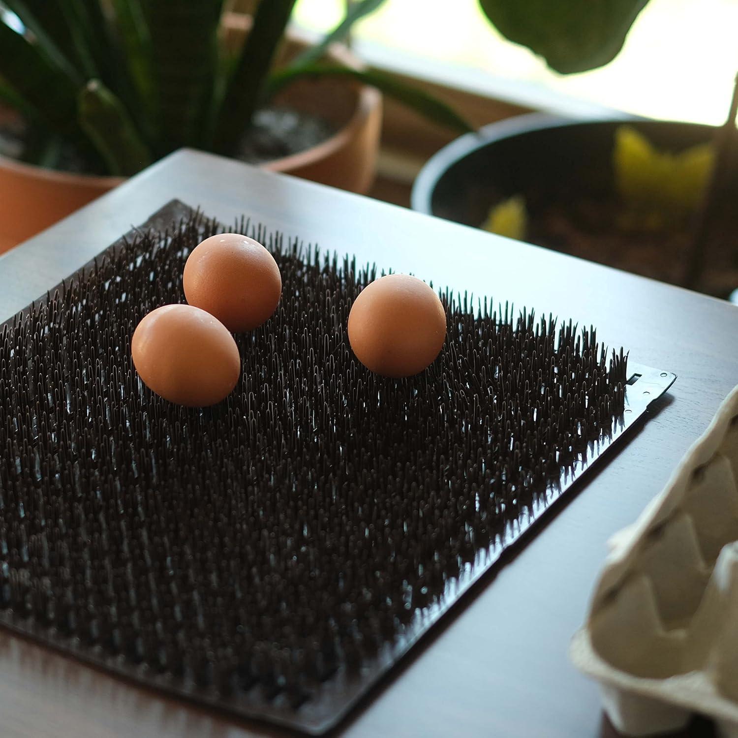 Rural365 Nesting Boxes Chicken Bed Liners - 6pk Washable Chicken Nesting Pads