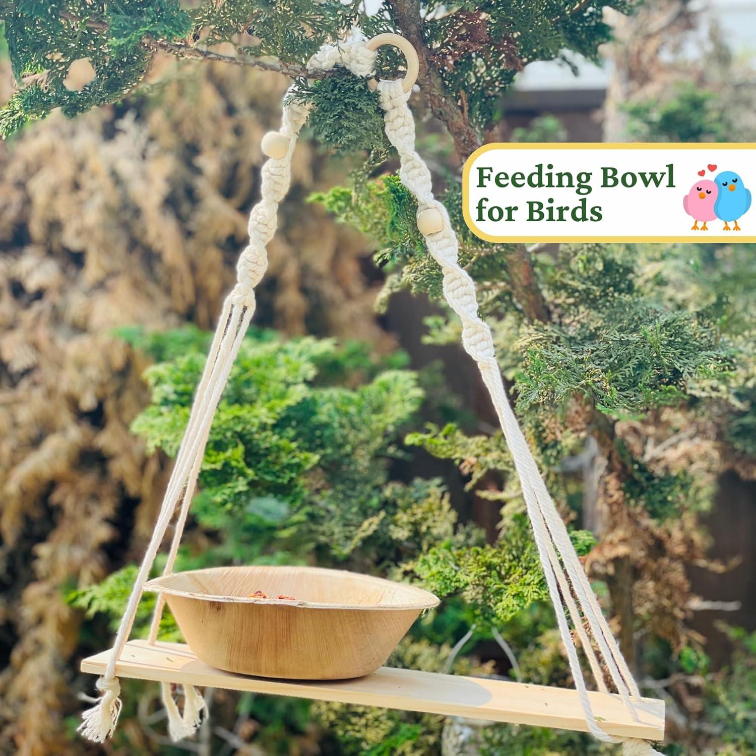 Dtocs 5.5" Palm Leaf Round Bowl (Pack 50) | Wayfair