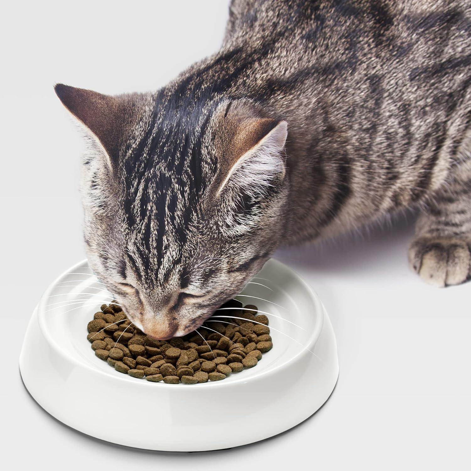 Marshmallow White Stainless Steel Shallow Cat Food Bowls Set