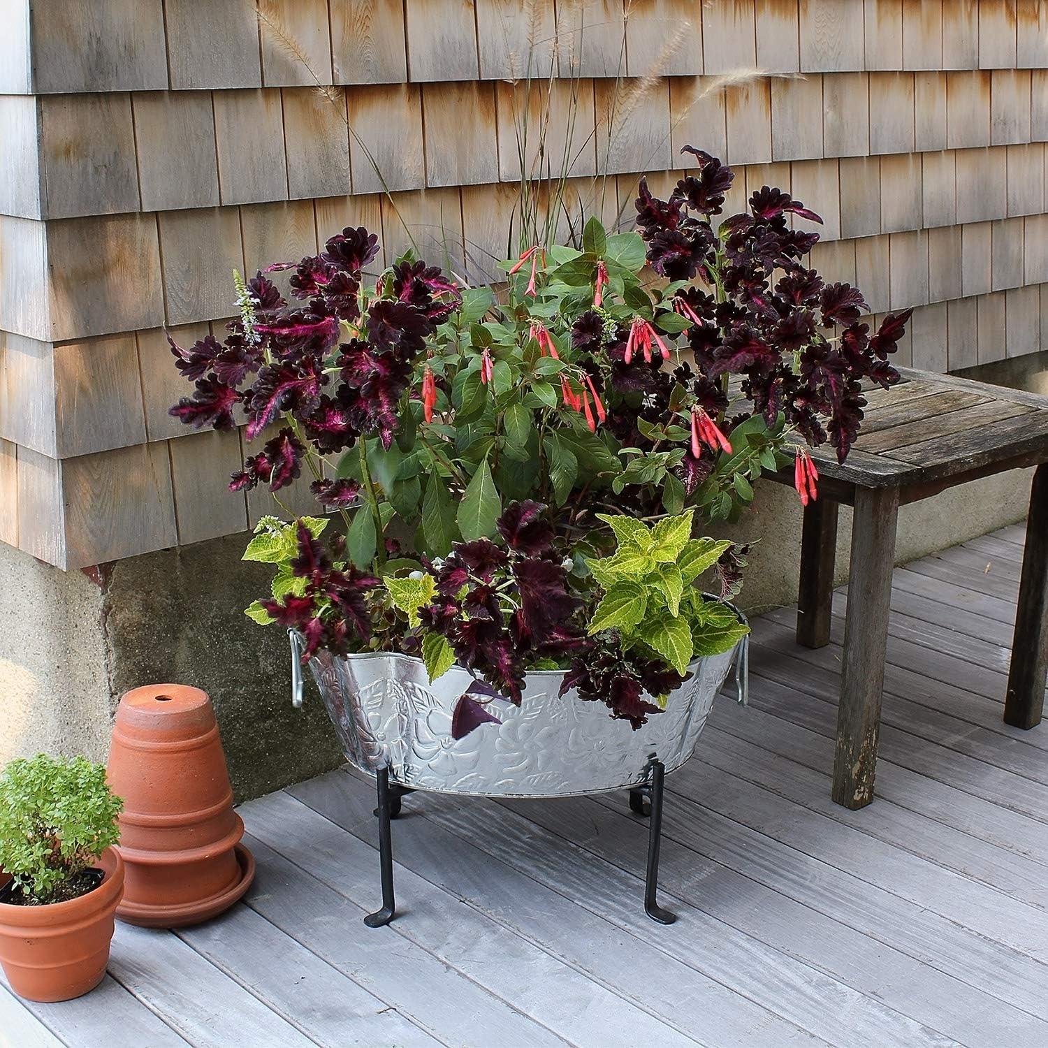 20" Embossed Oval Tub with Folding Stand Steel - ACHLA Designs: Vintage-Style Beverage Chiller & Planter