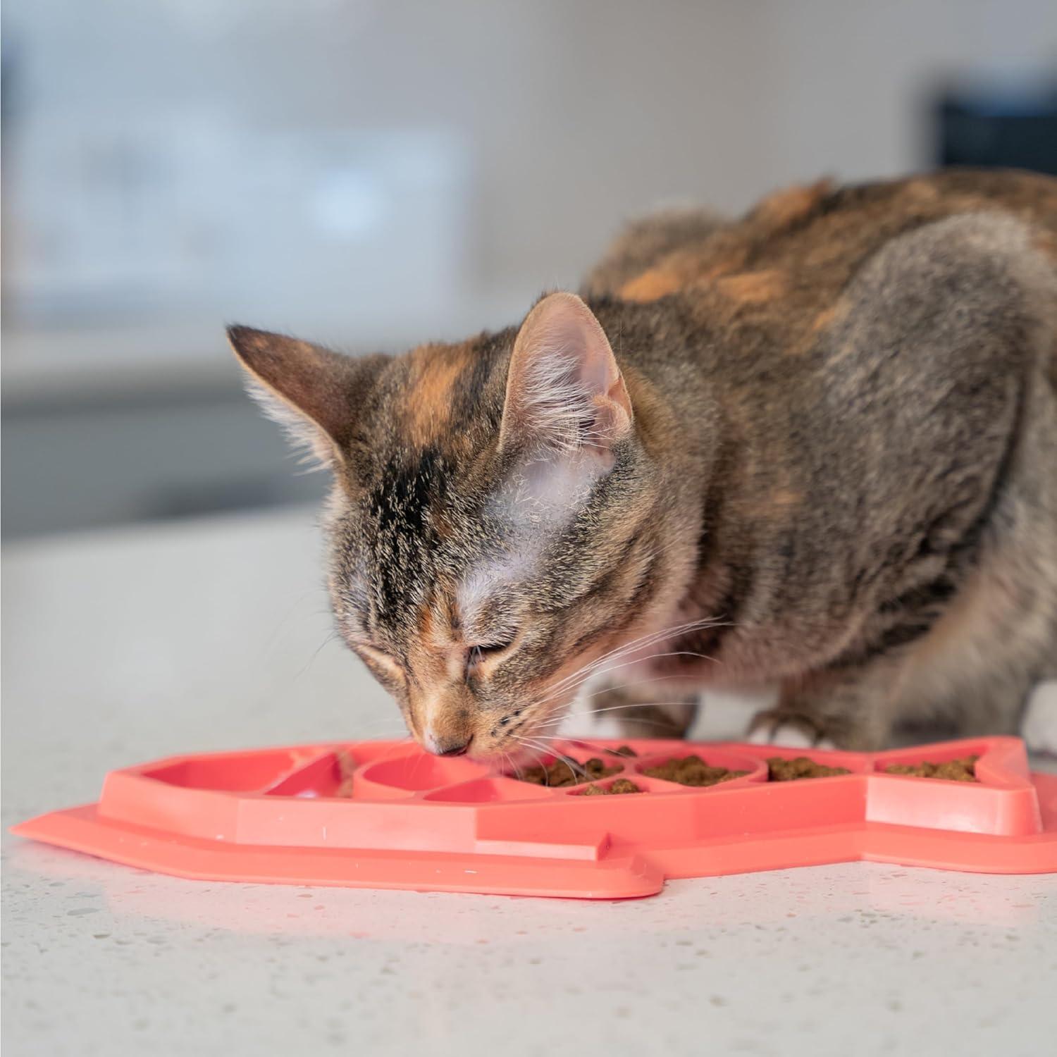 Petstages Fishie Fun Feed Mat Slow Feeder Cat Bowl
