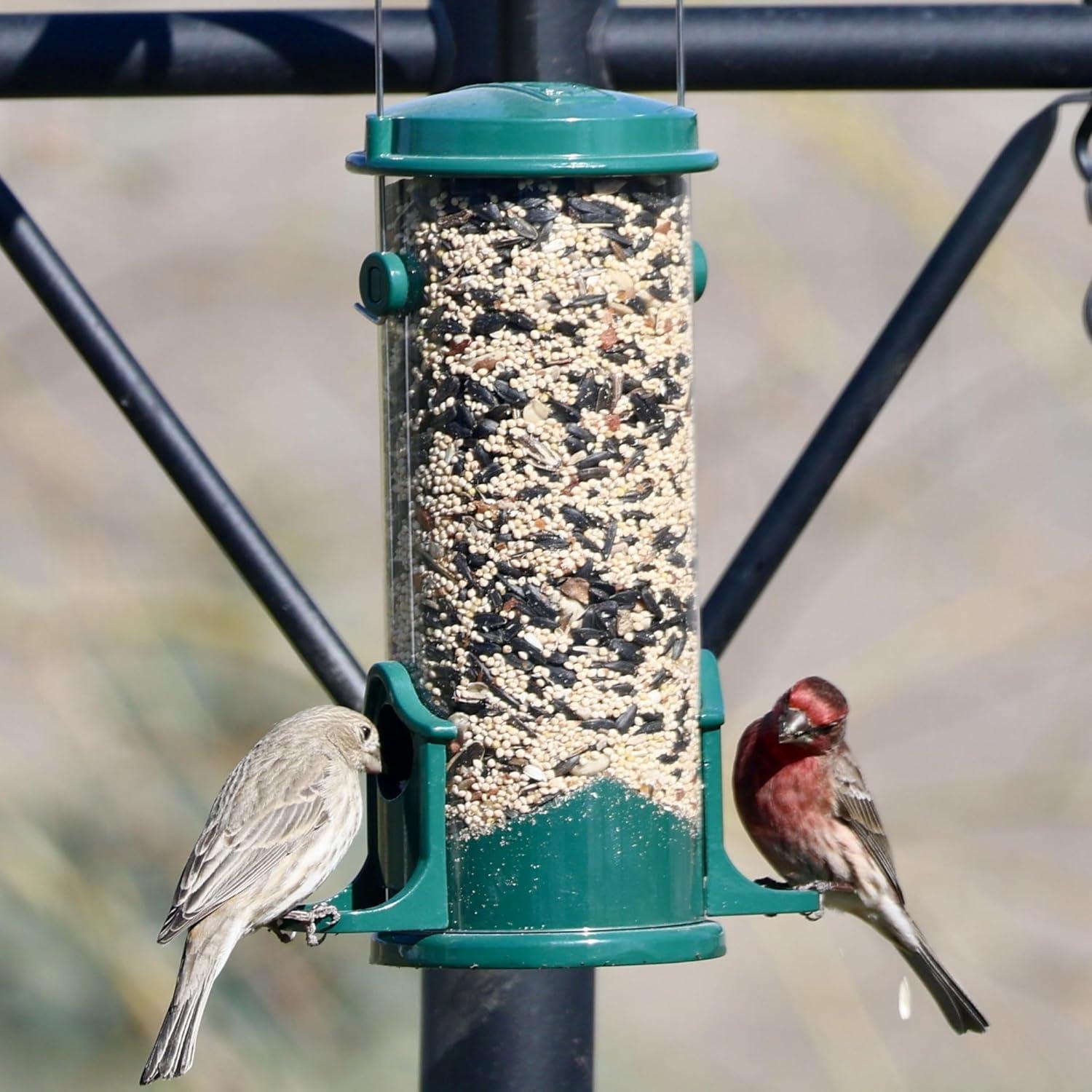 Clear Acrylic Surface Mount Bird Seed Tray with Drainage Holes