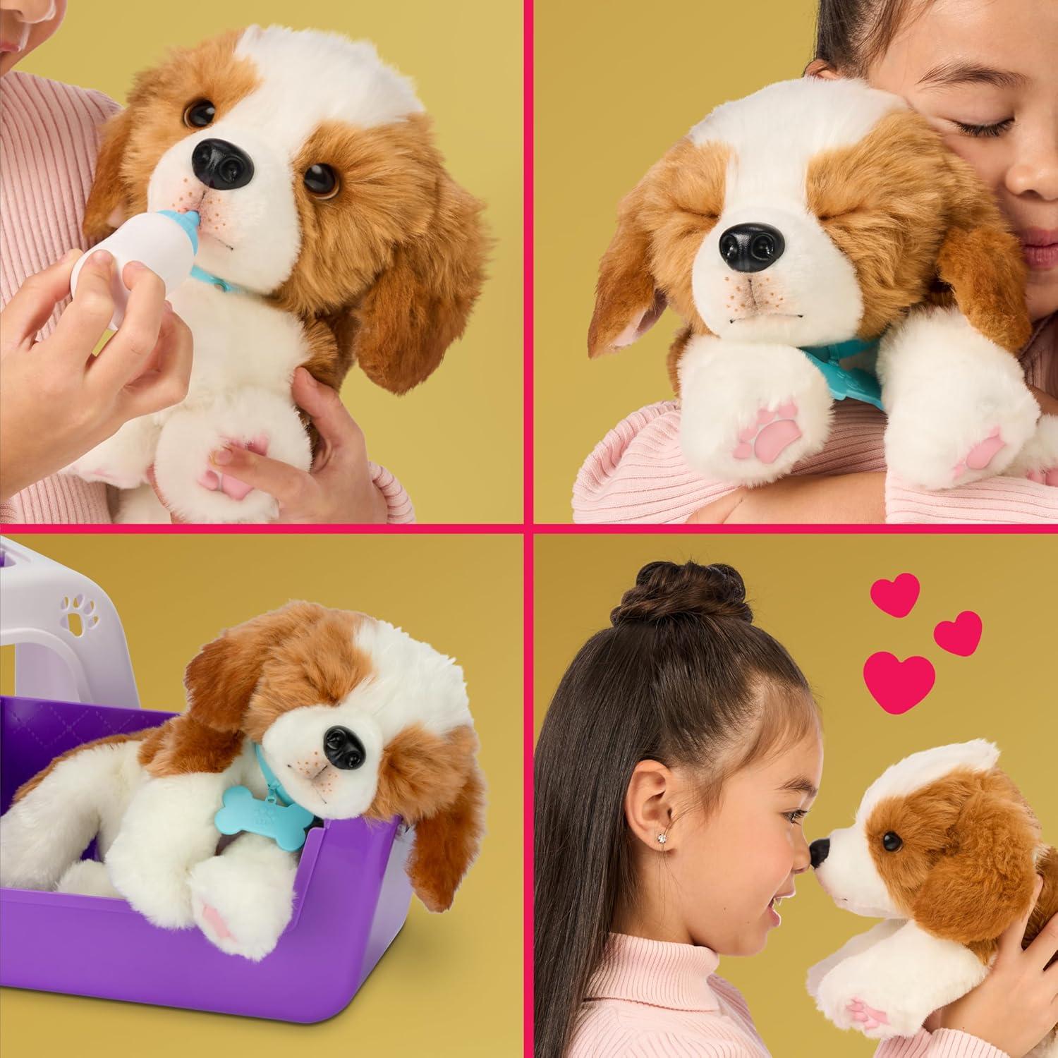 Little Live Pets My Really Real Puppy Beagle Patches, Interactive Toy 60+ Sounds & Reactions Ages 4+