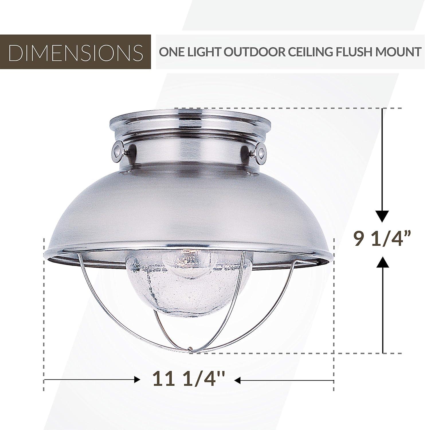 Brushed Stainless and Clear Glass Outdoor Flush Mount Light