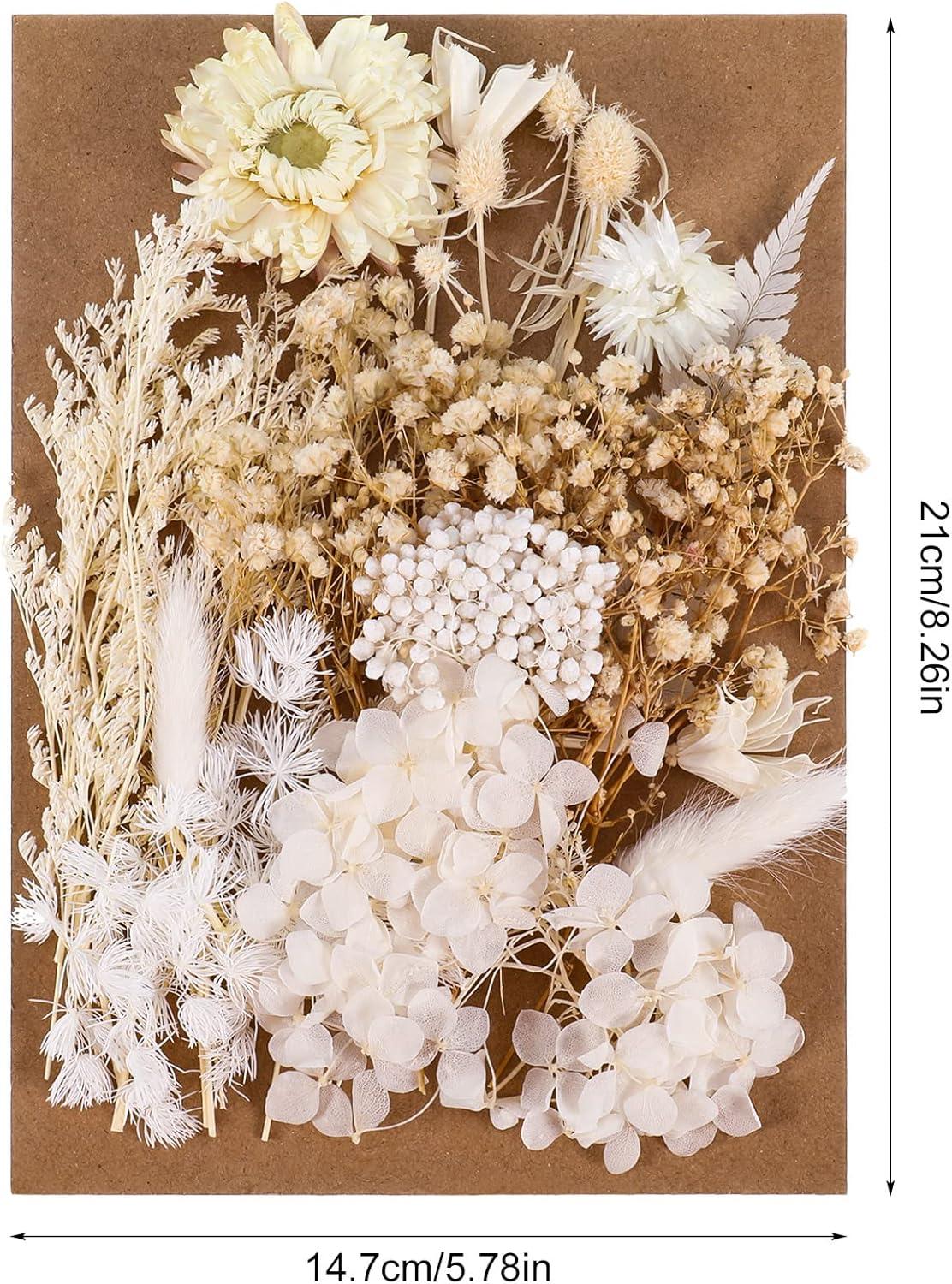 Yoloke DIY Dried Flowers Craft Kit - Natural Assorted Dried Florals for Making Everlasting Valentine's Day Gifts, Unique Design, Perfect for Framing & Creative Decor