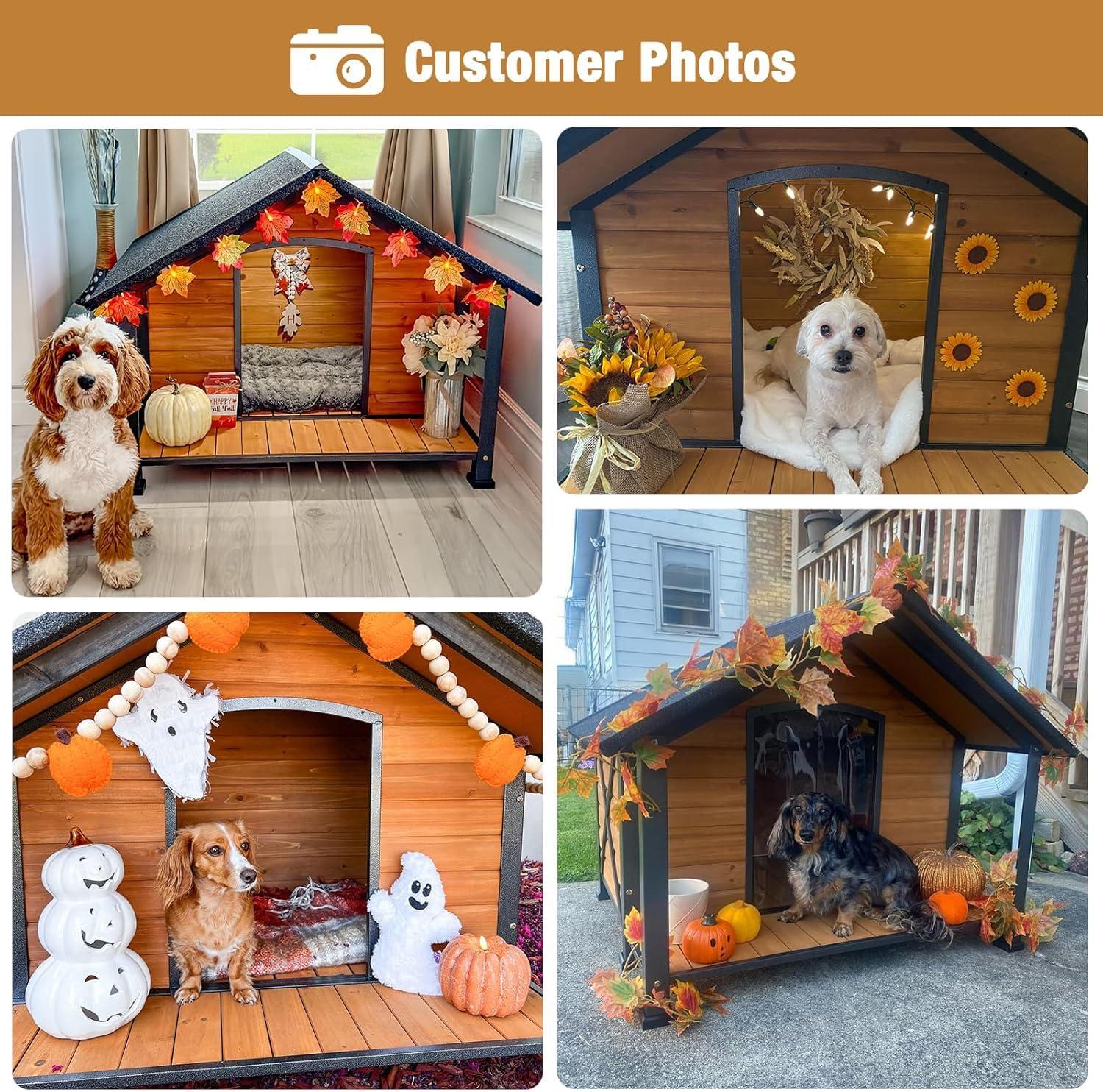 Tucker Murphy Pet™ Schoharie Igloo Style Dog House