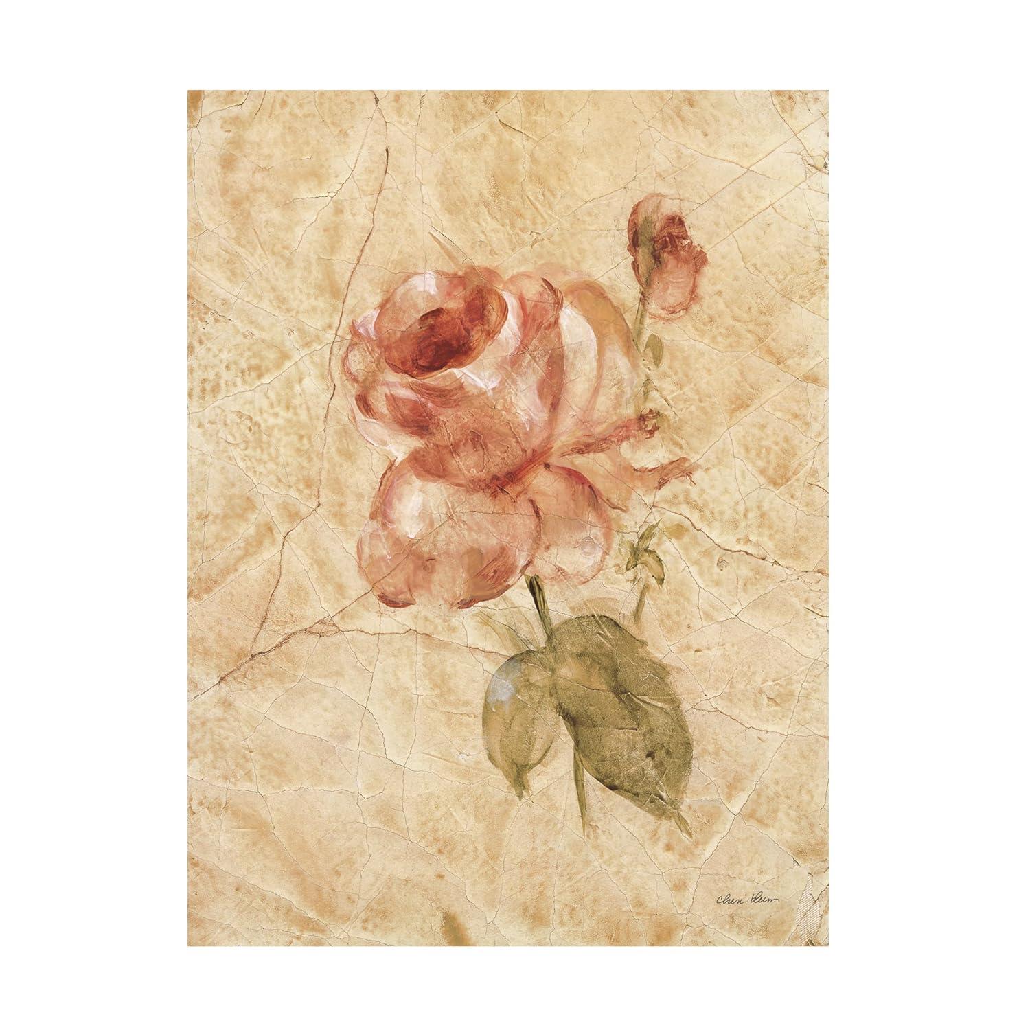 Trademark Fine Art Cheri Blum Rose On Cracked Linen Canvas Art