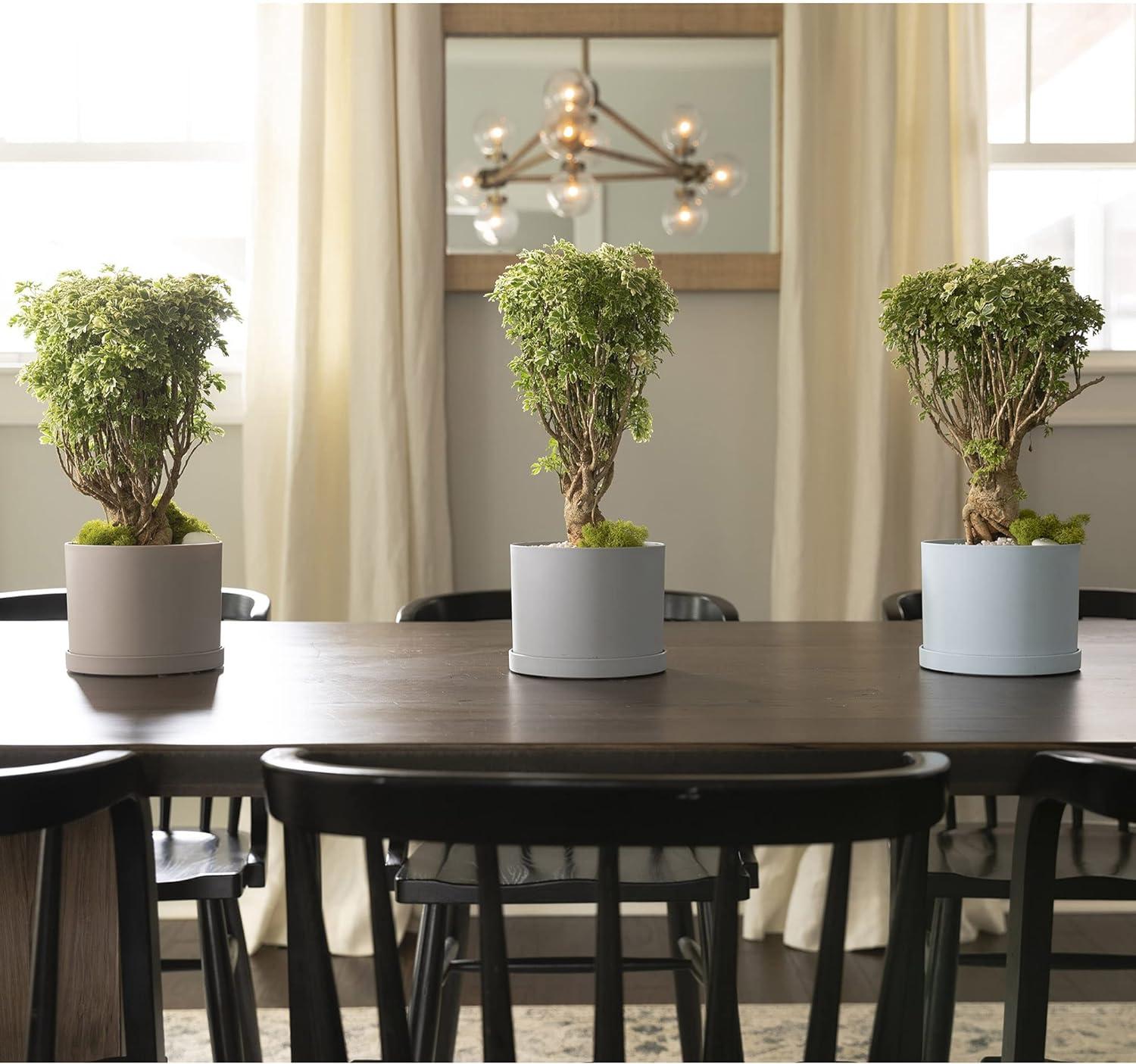 Pebble Stone Beige Round Resin Planter with Saucer