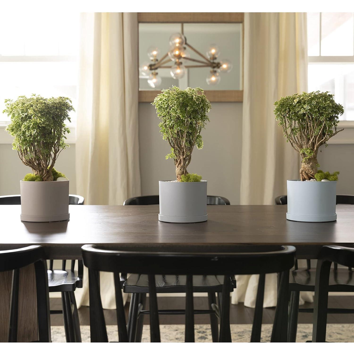 Bloem Mathers 9.625 in. H X 18 in. D Resin Planter Misty Blue