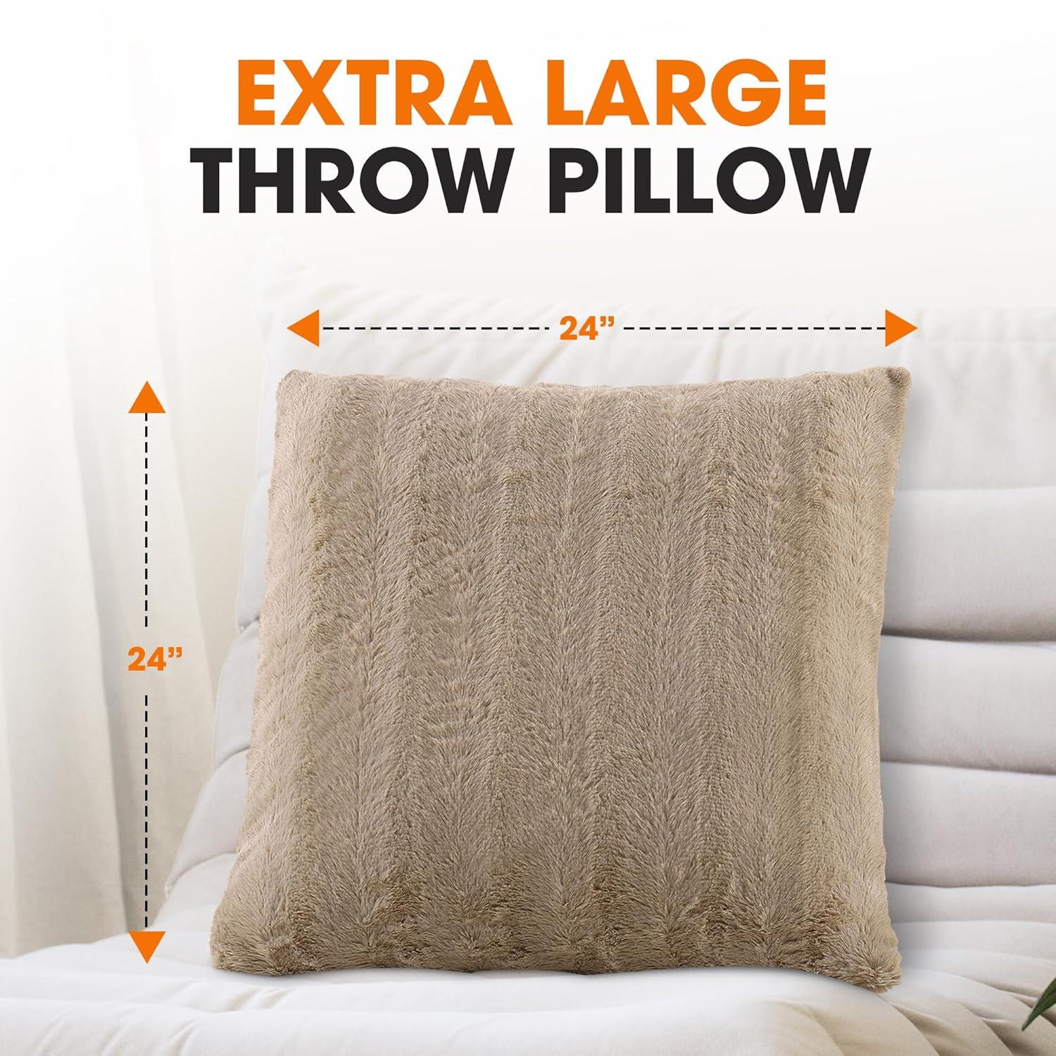 Cheer Collection FRBIN Square Pillow Cover & Insert (Set of 2)