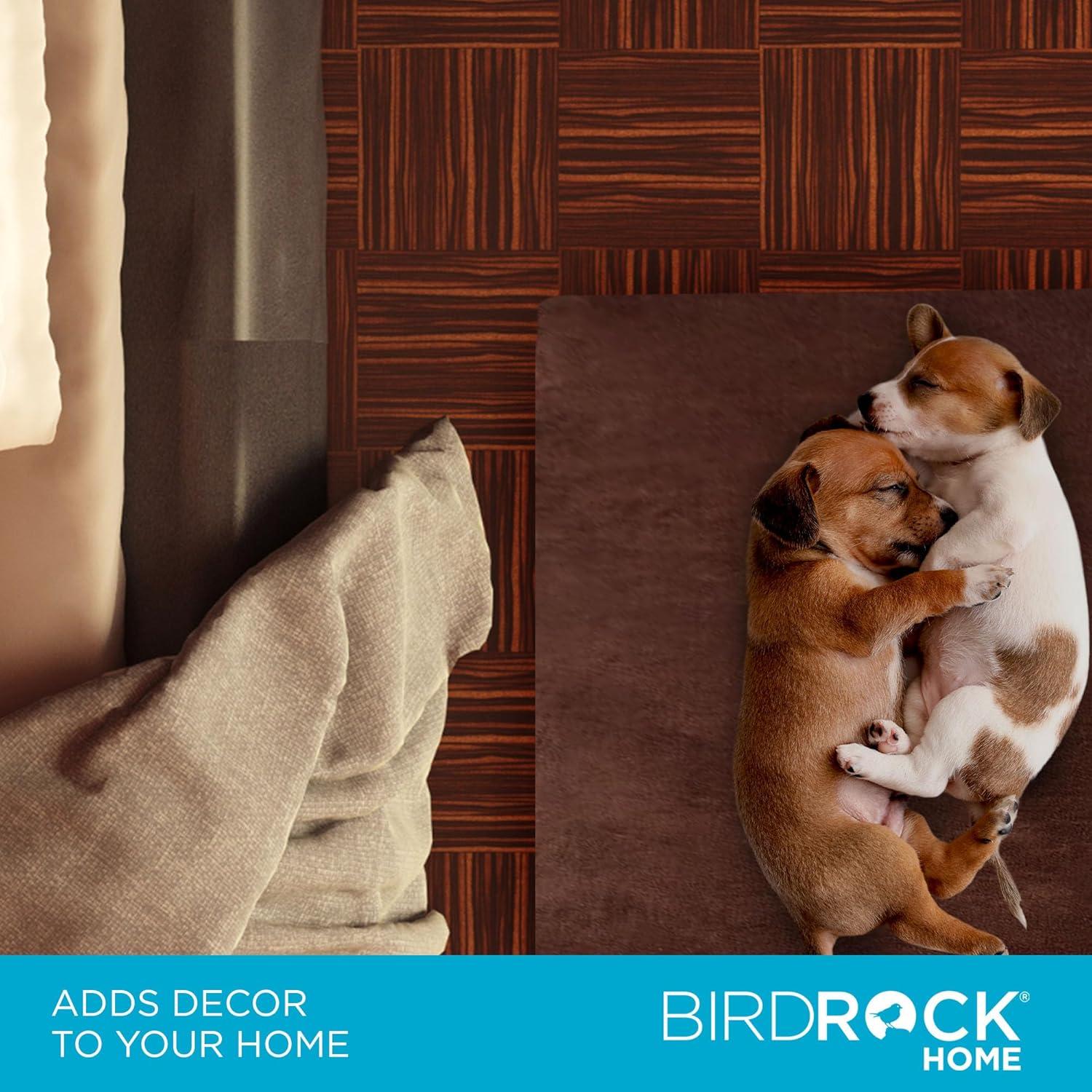 BirdRock Home Orthopedic Polyester Pet Bed