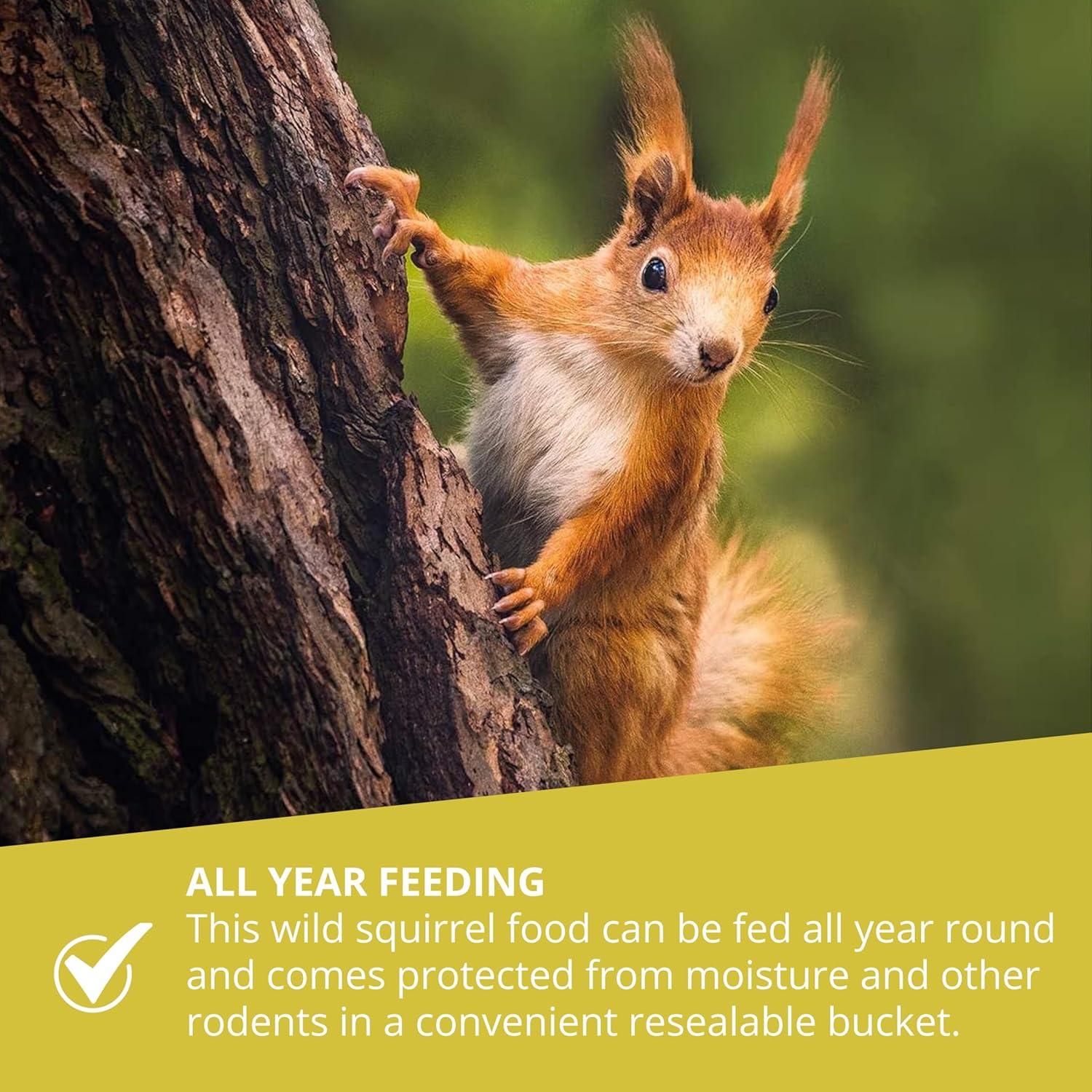 Wildlife Heart Squirrel Feeding House | Weatherproof | Solid Wood Construction | Squirrel Nest and Feeder | Ideal for Squirrels