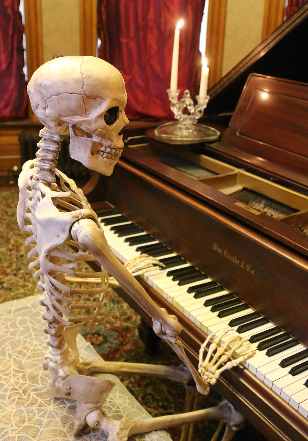 Crazy Bonez Pose-N-Stay Life Size 5 FT Skeleton with Realistic Posable and Movable Joints for Halloween Indoor and Outdoor Decoration