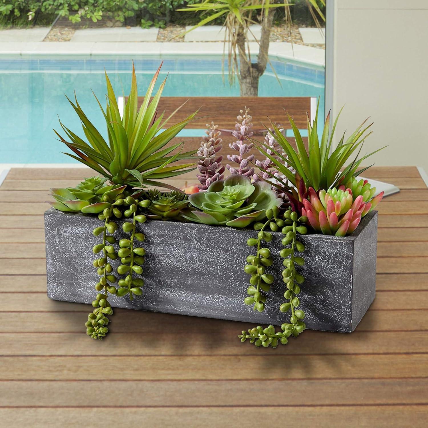 Serene Spaces Living Mixed Succulents in Rectangular Planter, Perfect for Weddings and Home Décor, Real Looking Succulent for Decoration, Sold Individually, Measures 12in Long x 4.5in Wide x 9in Tall